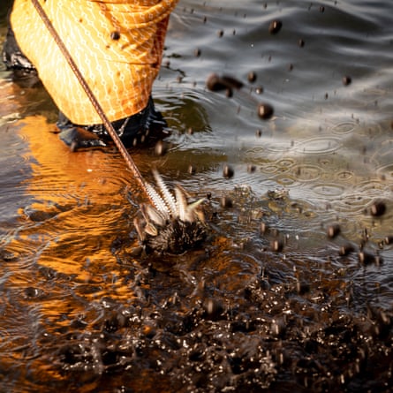 Als die beduinische Fischerin einen Tintenfisch aufspießt, spritzt er schwarze Tinte ins Wasser.