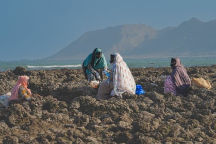 Vier beduinische Fischerinnen sitzen im Oktober auf der Insel Masirah, der größten Insel des Oman, zusammen, um Meeresschnecken zu ernten.  Die handwerkliche Fischerei auf Wirbellose und Schnecken gilt als wichtige Einnahmequelle.