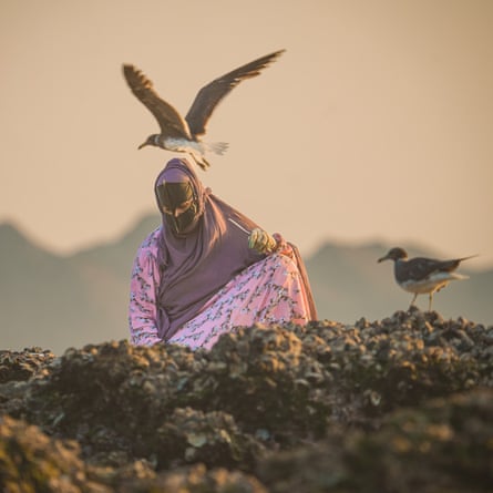 Sabra al-Farsi sitzt an den felsigen Ufern der Insel Masirah, um das Fleisch von Meeresschnecken, Weichtieren und anderen Gastropoden zu sammeln.
