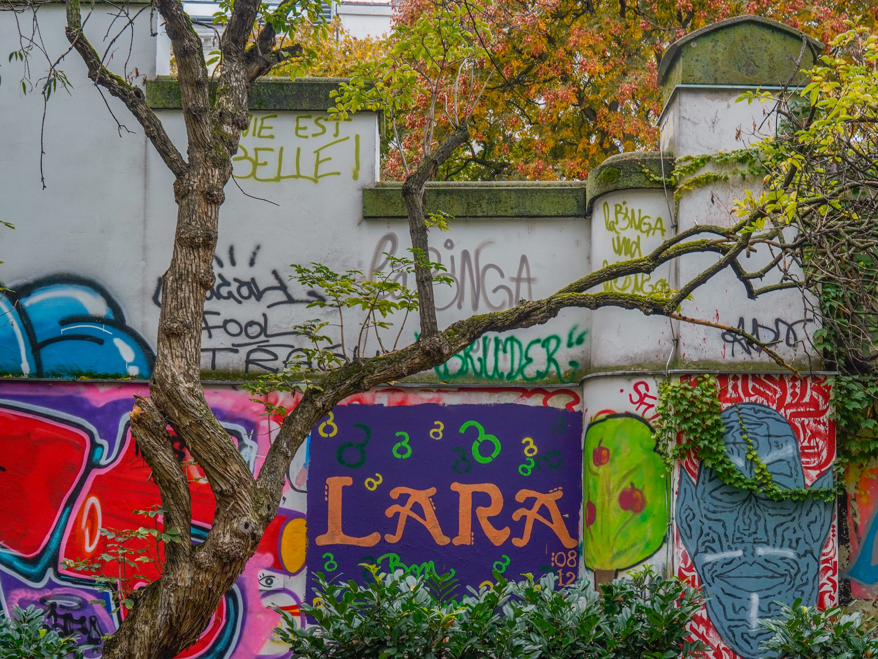 Straßenkunst in Wien