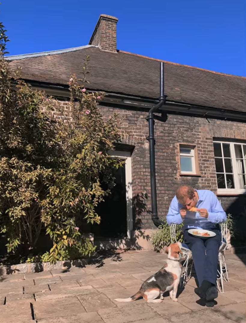 Prinz Harry sitzt mit einem Beagle in Nottingham Cottage.