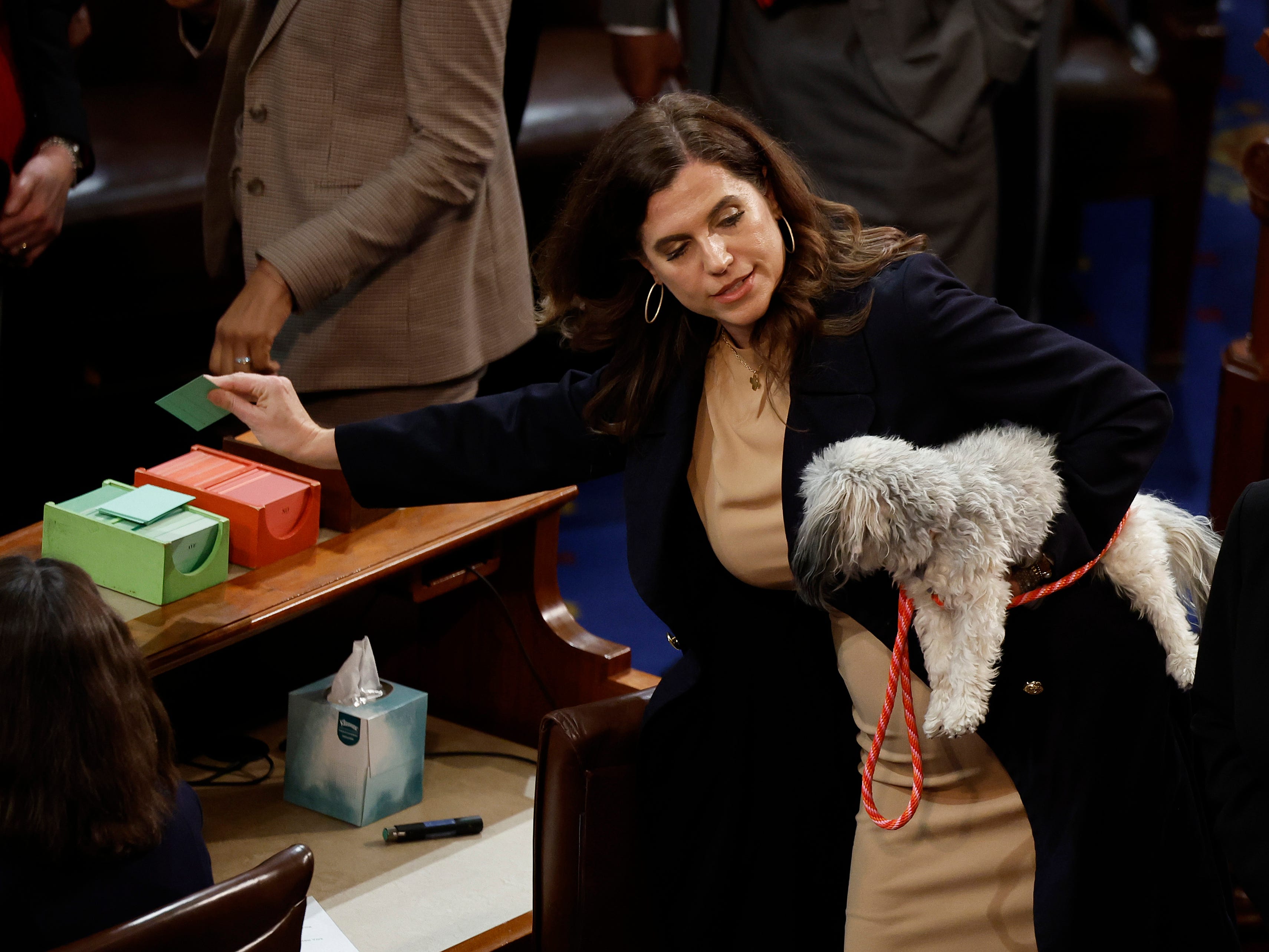Die Abgeordnete Nancy Mace gibt ihre Stimme ab, während sie ihren Hund auf dem Hausboden hält