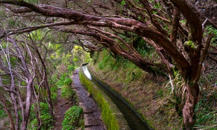 Levadas sind Bewässerungskanäle, die sich durch Madeiras Hügel schlängeln.