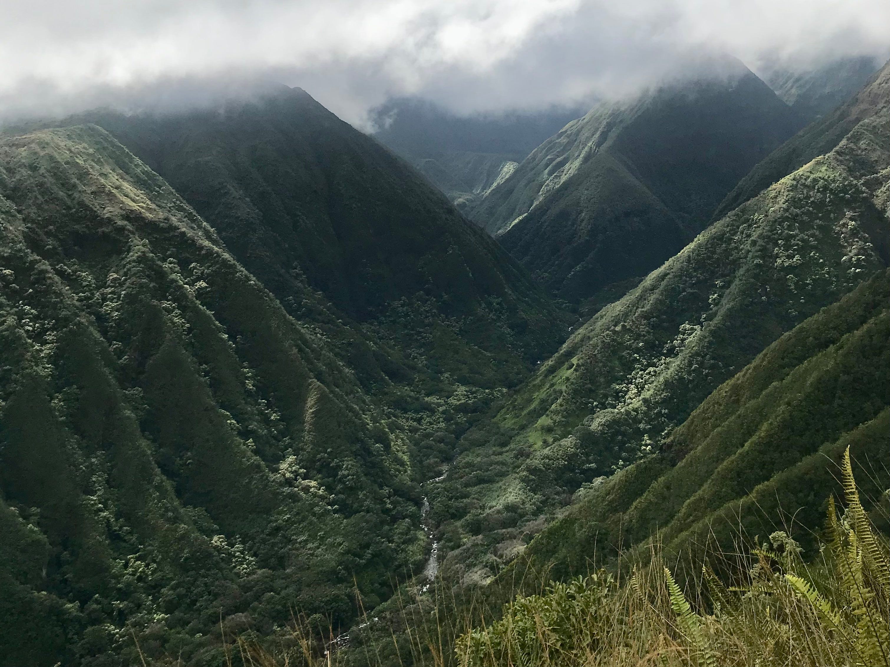 Wanderung auf dem Waihee Ridge Trail in Hawaii, grüne Berge mit Wolken darüber