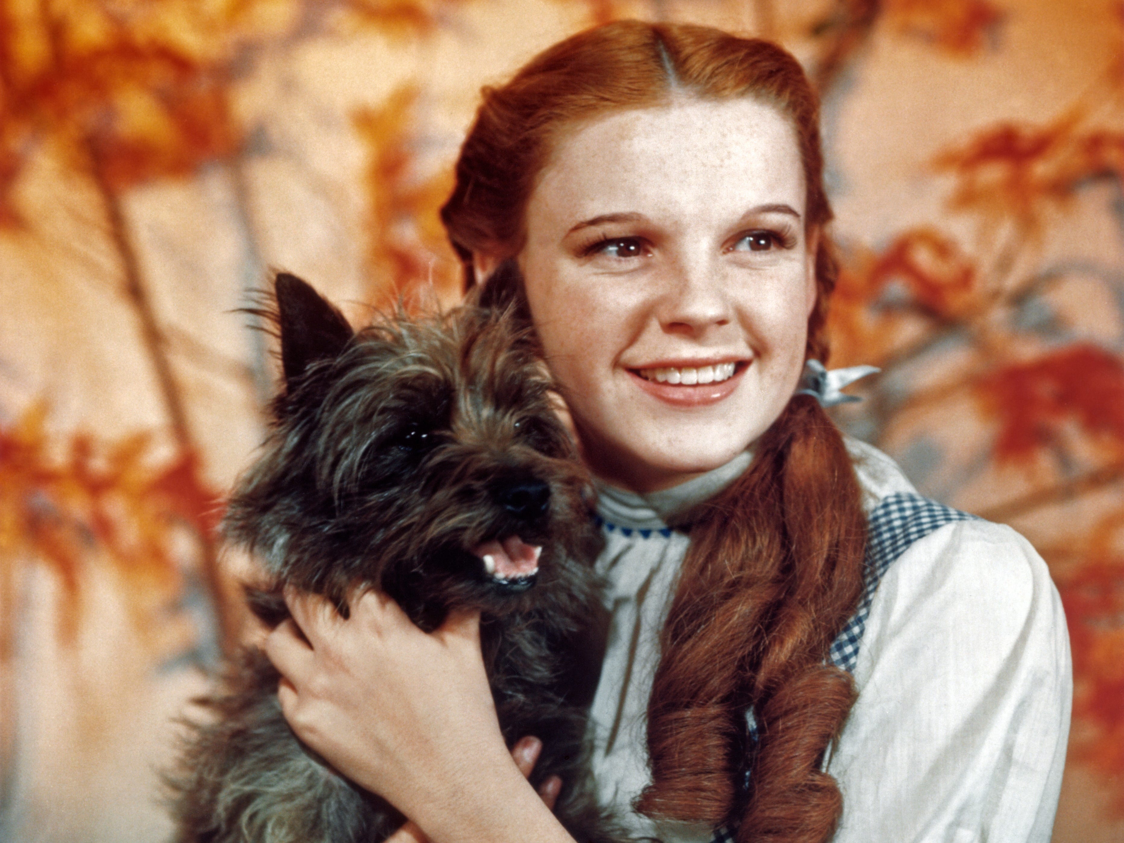 Judy Garland als Dorothy in „Der Zauberer von Oz“
