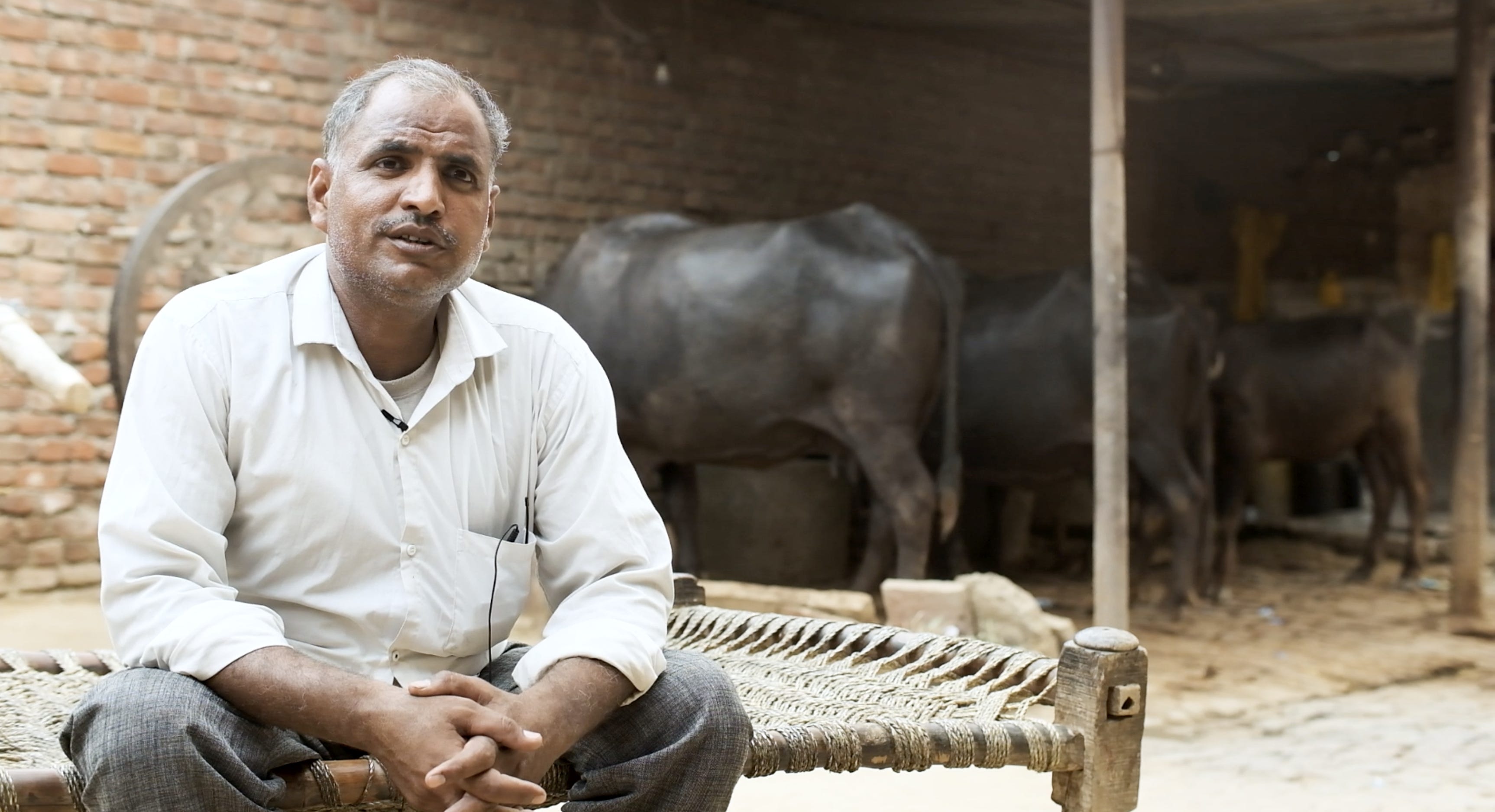 Vimal Kumar Yadav sitzt in seinem Haus vor seinen Ochsen