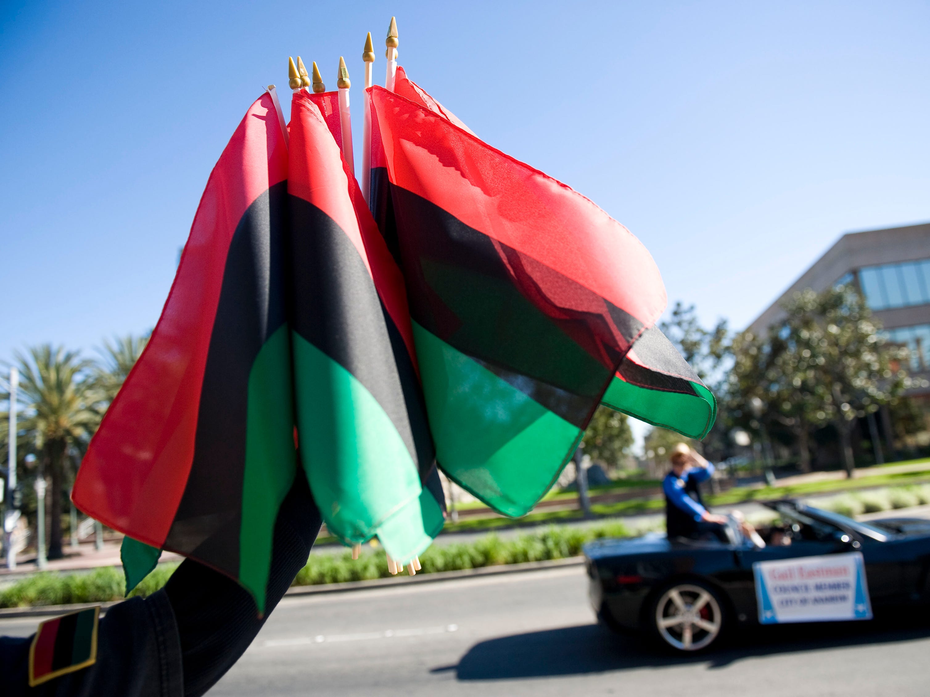 Flaggen des Black History Month