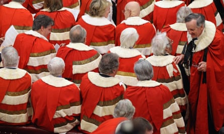 Kollegen im House of Lords