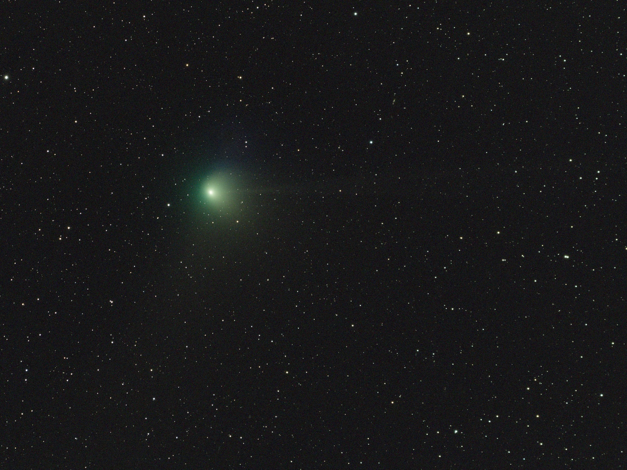 Komet ZTF wird gegen den Nachthimmel gezeigt.