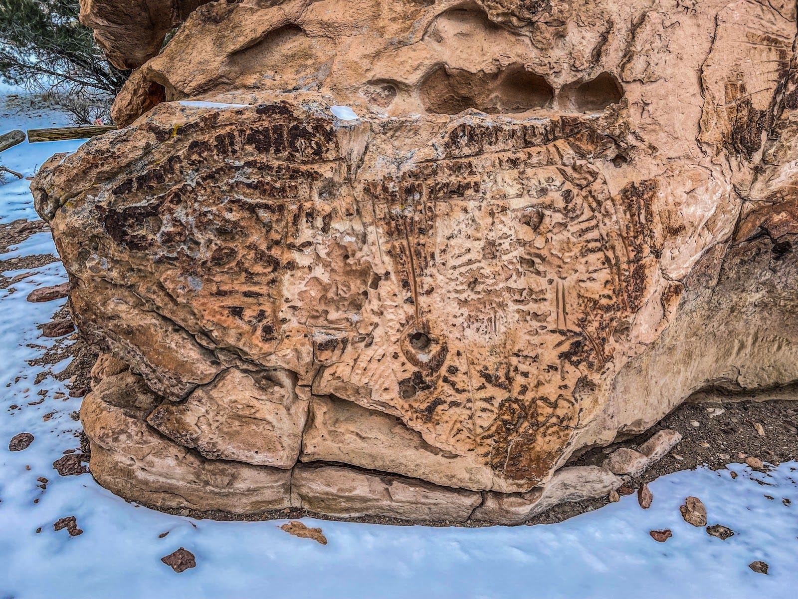 Die Hickison-Petroglyphen