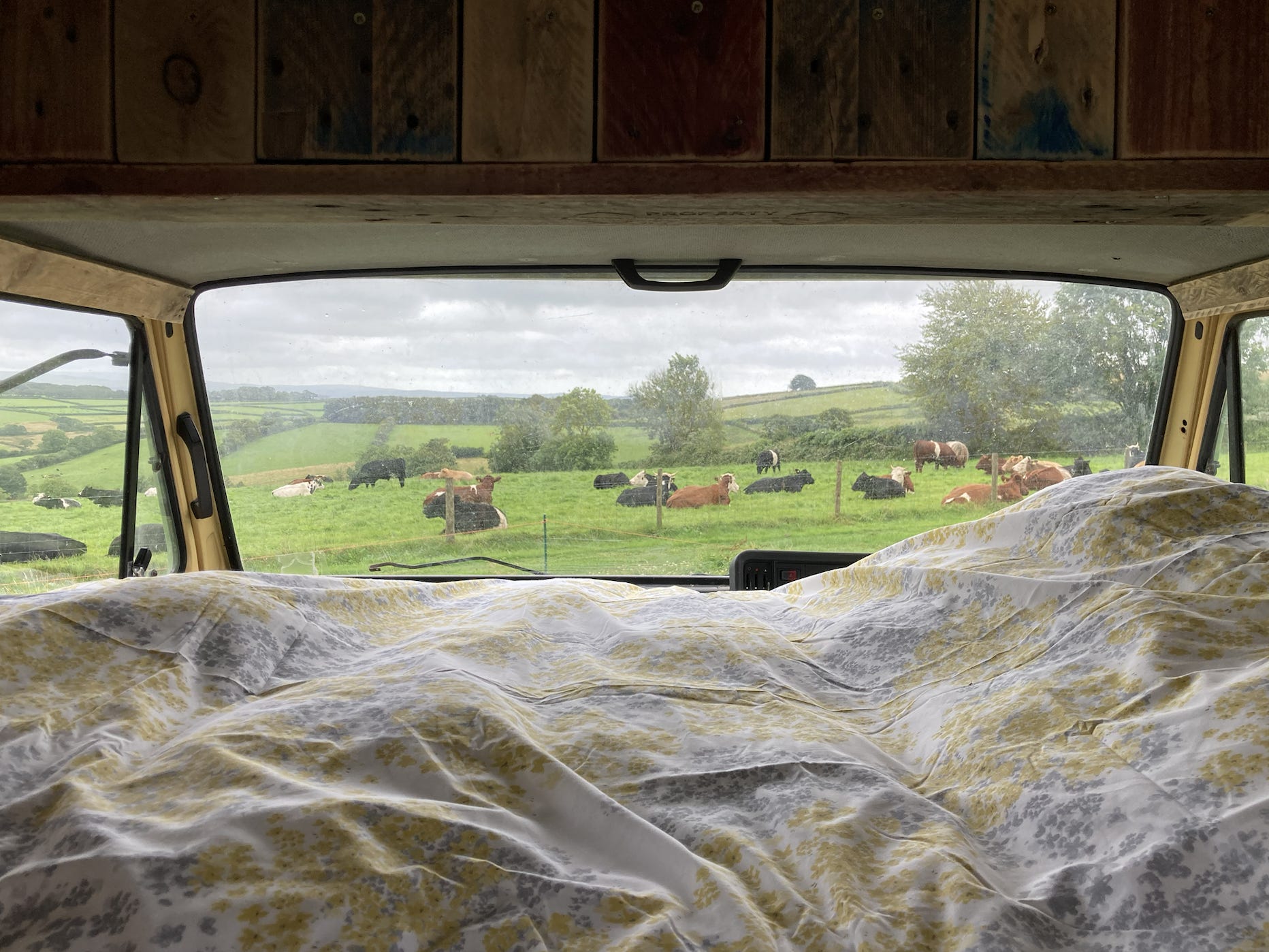 Schlafbereich im Pferdetransporter Airbnb
