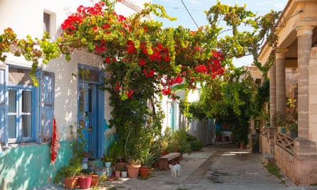 Eine kleine Gasse mit traditionellem Wohnen in Koskinou, Rhodos, Griechenland, mit einem schattigen Bereich und einer Katze auf der Straße