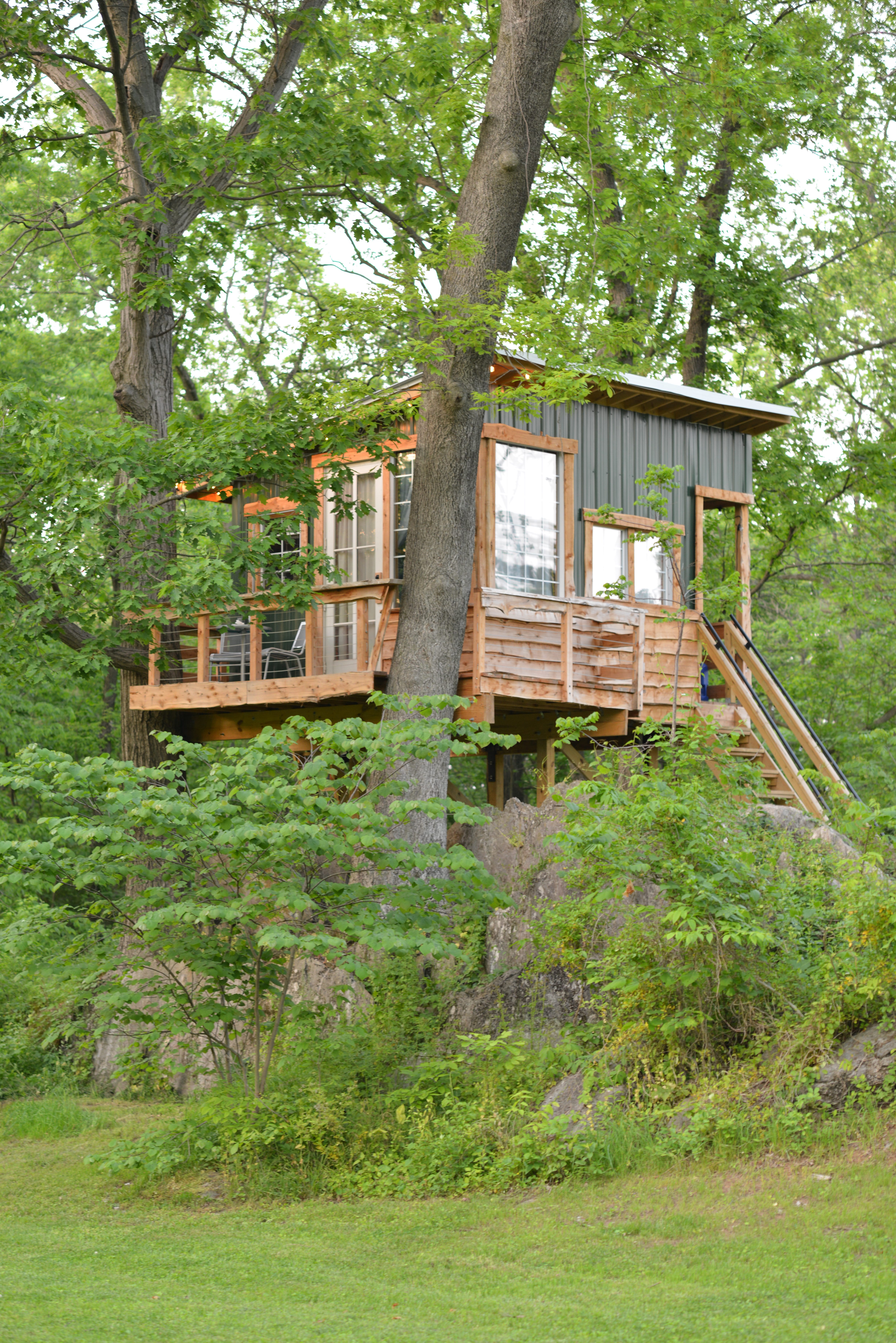 Das Airbnb-Baumhaus