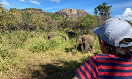 Seb während einer Elefantensafari.