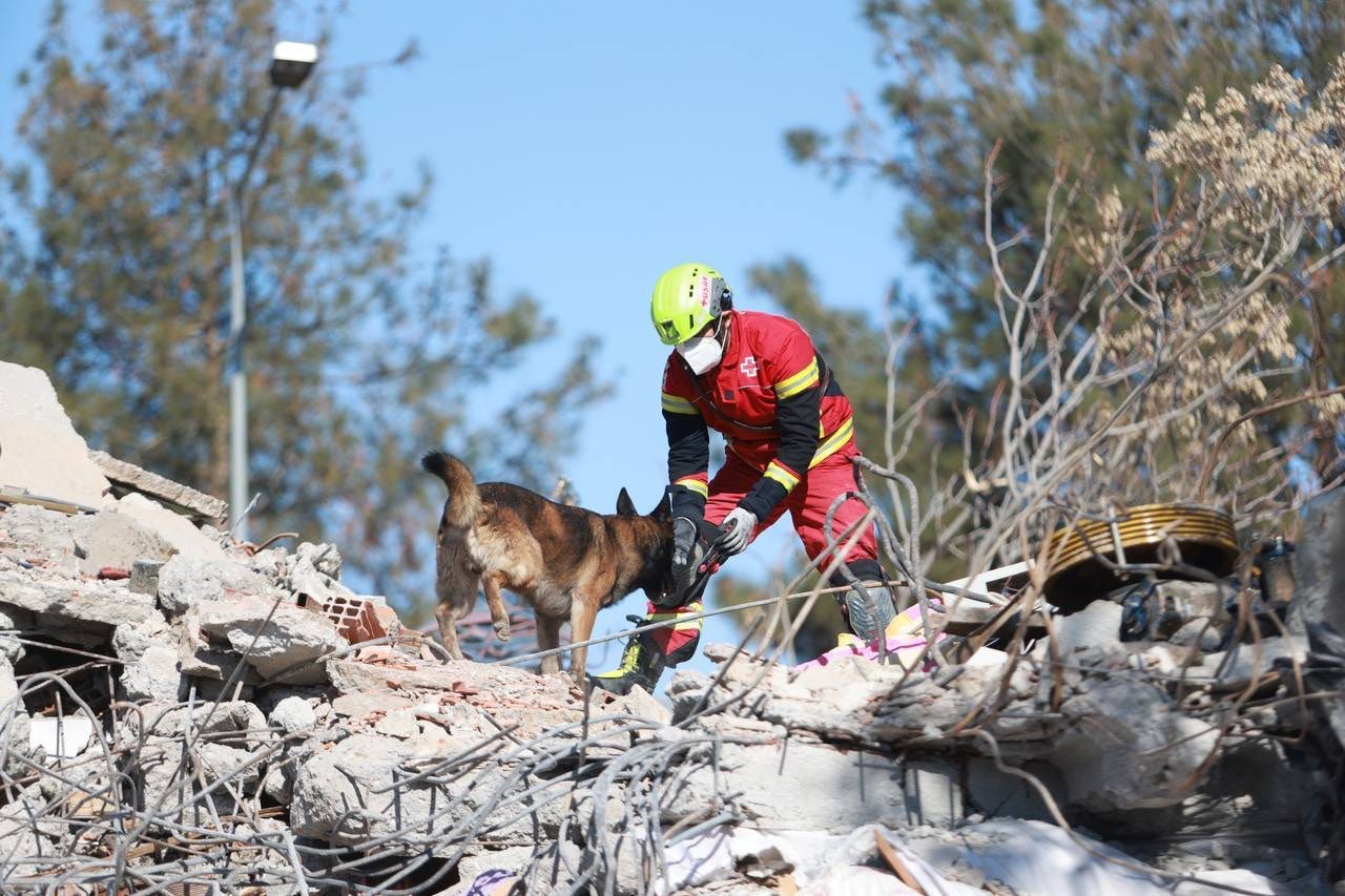 Ein Hund aus Mexiko sucht in den Trümmern von Adiyaman in der Türkei nach Überlebenden des Erdbebens.