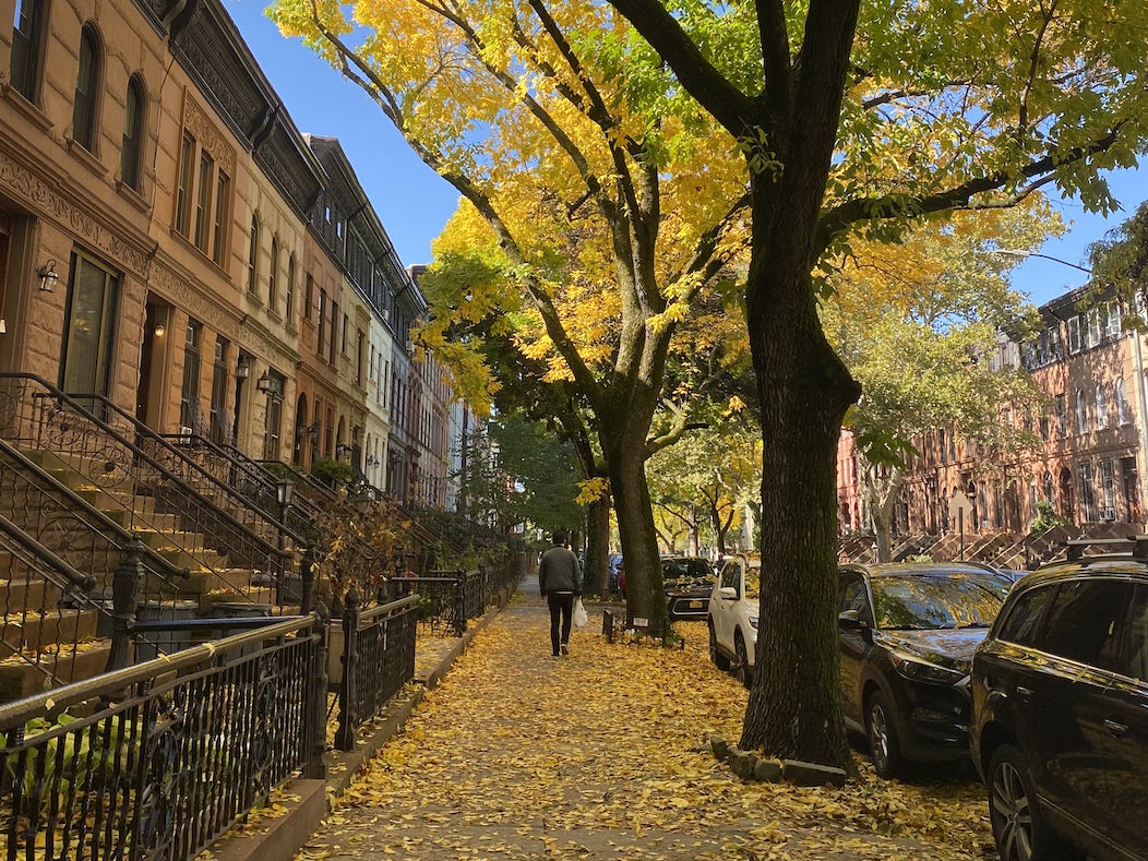 Eine Straße in Brooklyn im Herbst.