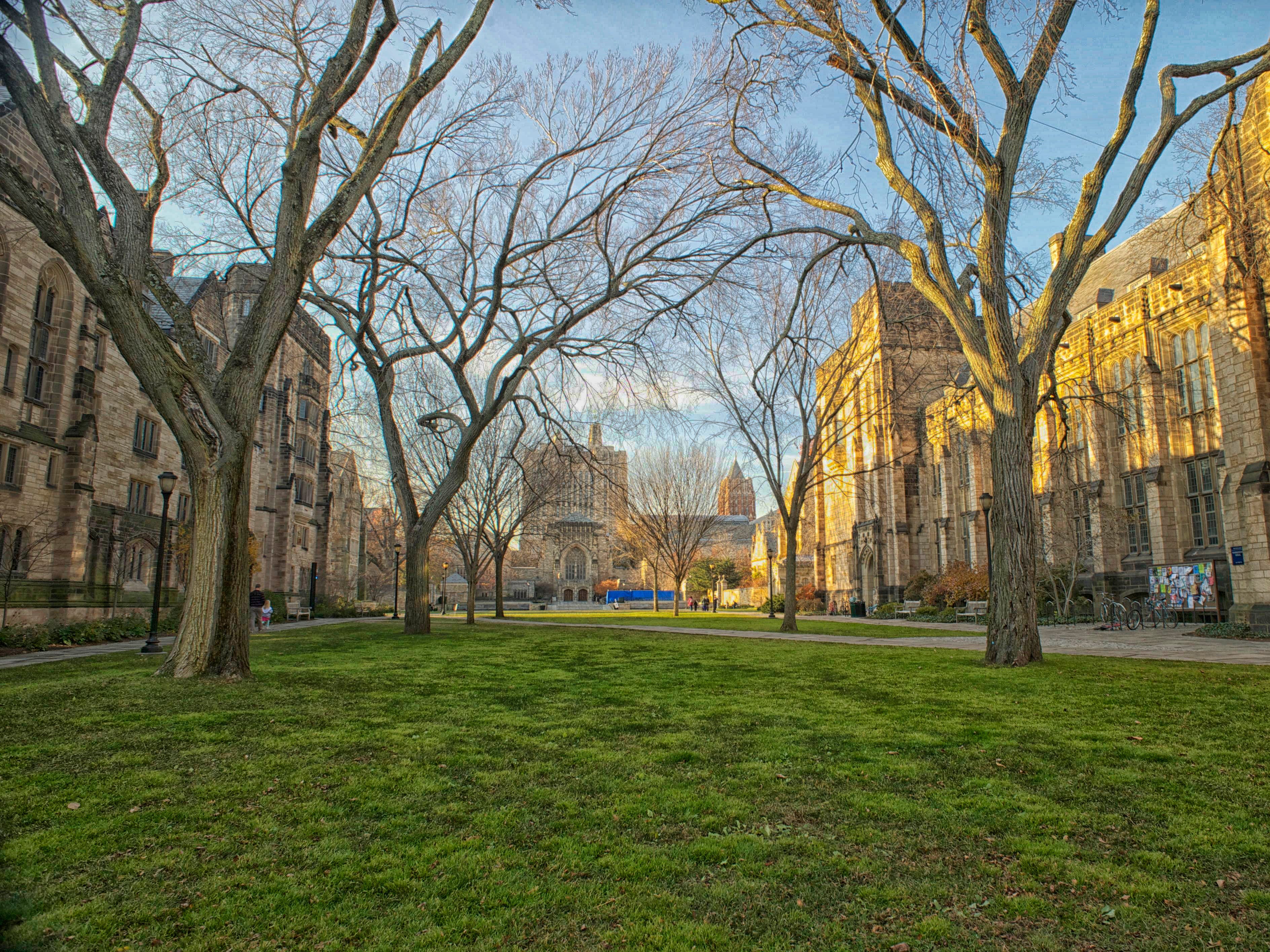 Der Cross Campus der Yale University mit Blick auf die Sterling Library.
