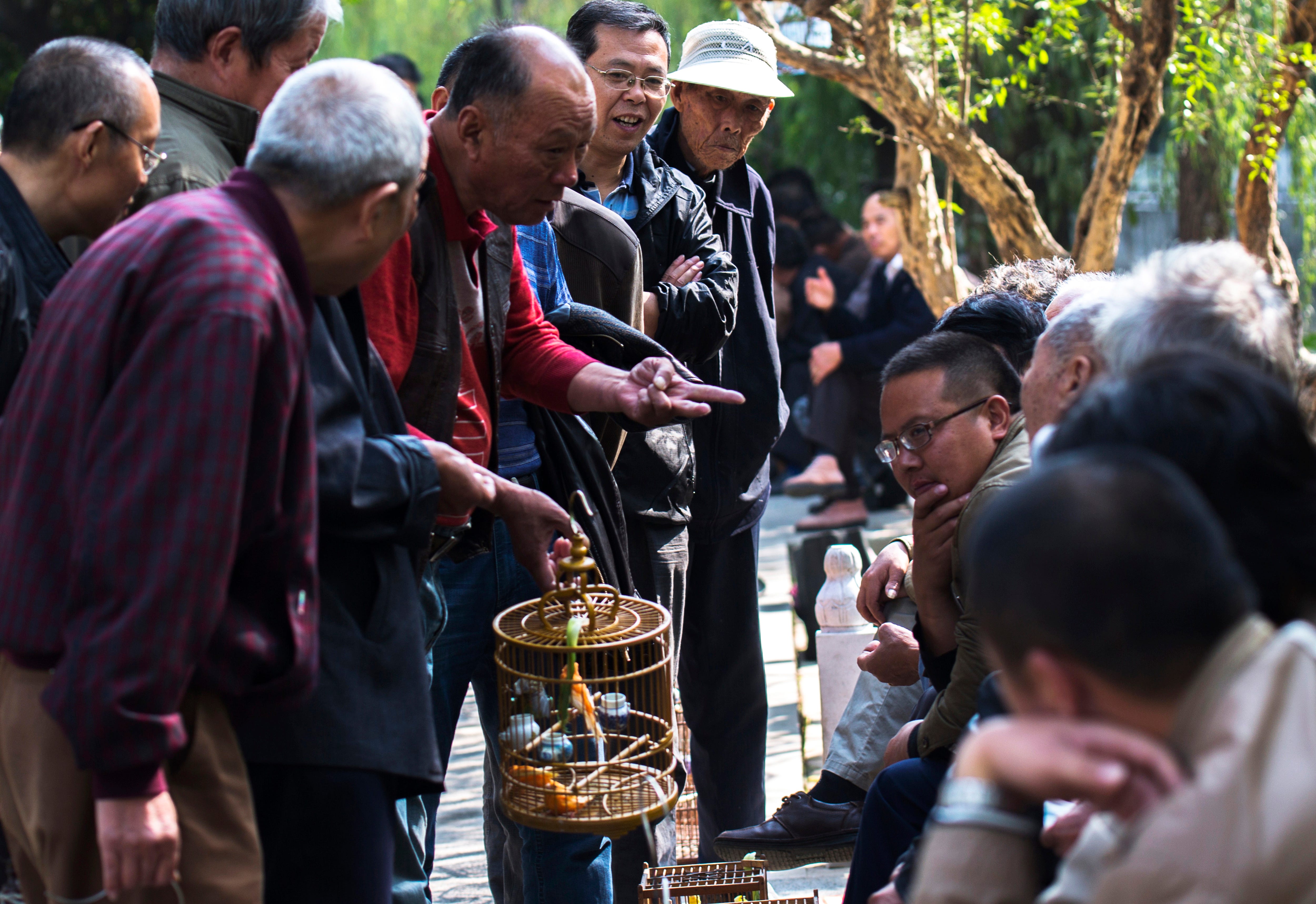 Alte Männer in China handeln mit ihren Vögeln auf einem Morgenmarkt.