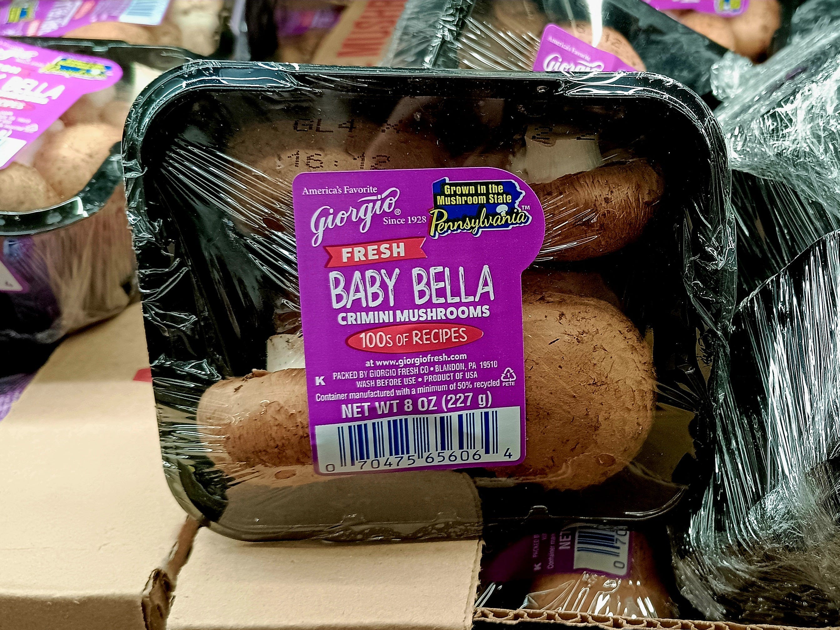 Baby-Bella-Pilze bei Aldi