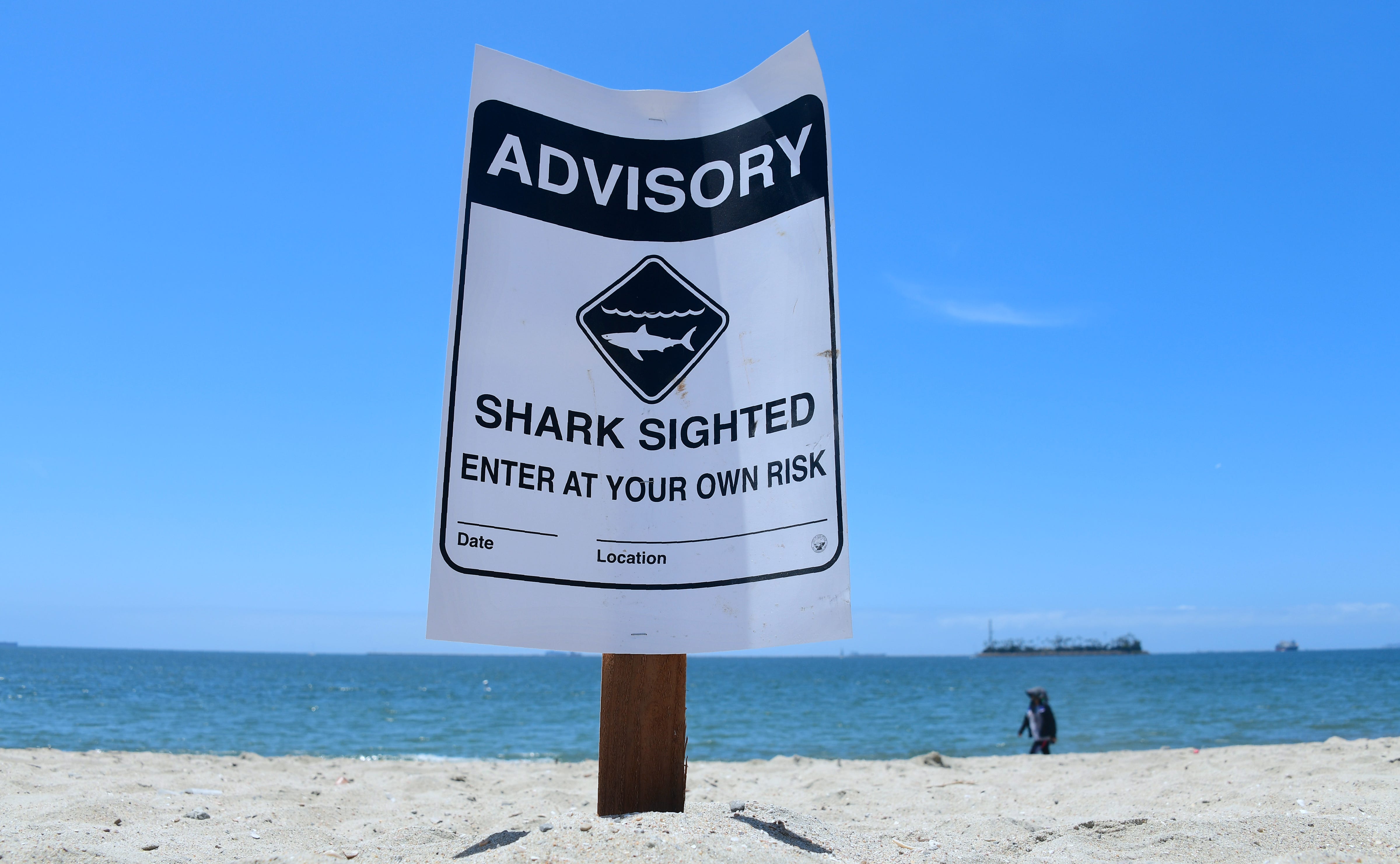 Warnzeichen für Hai-Sichtungen