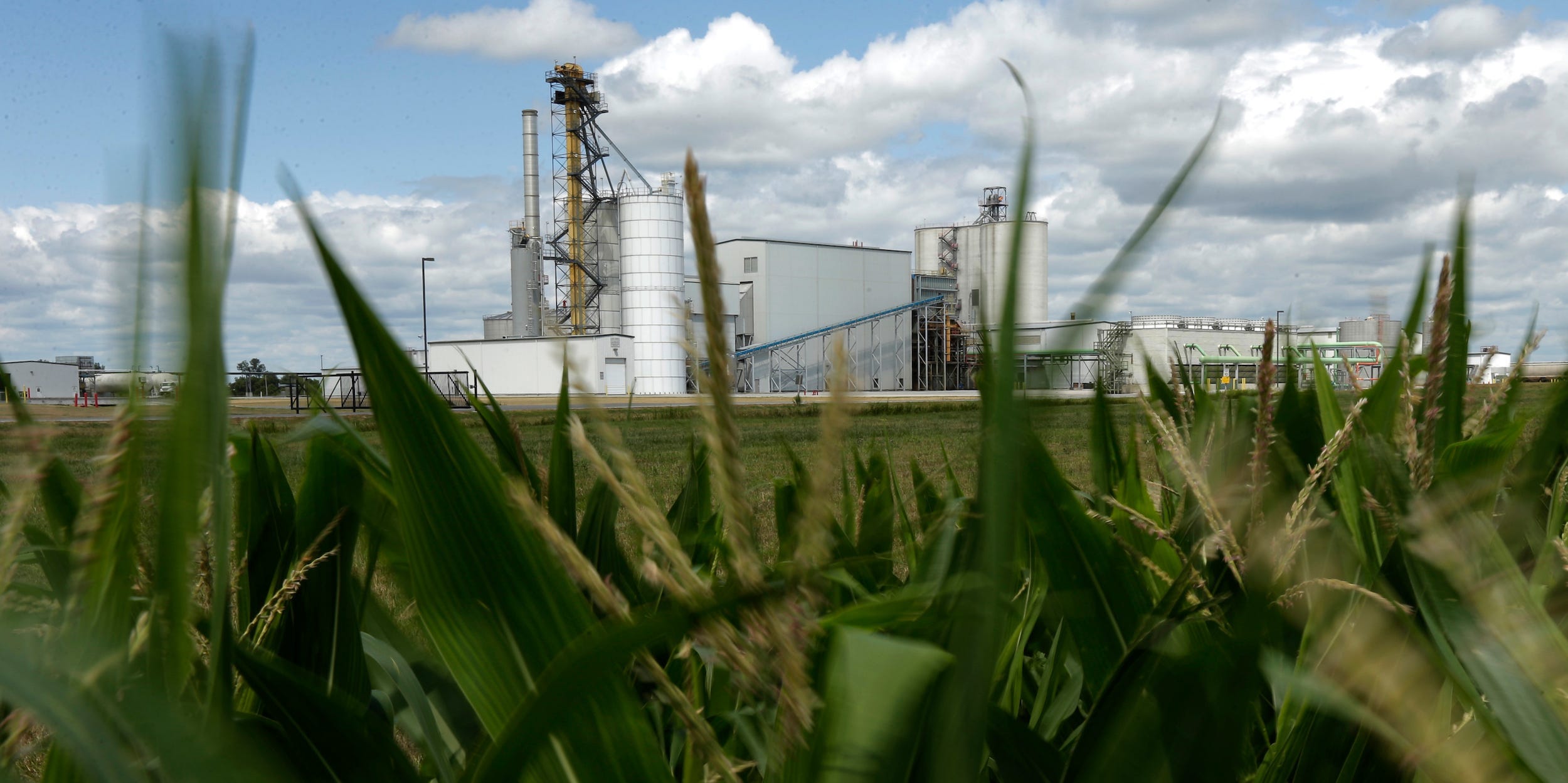 Ein Maisfeld neben einer Ethanolanlage in Nevada, Iowa