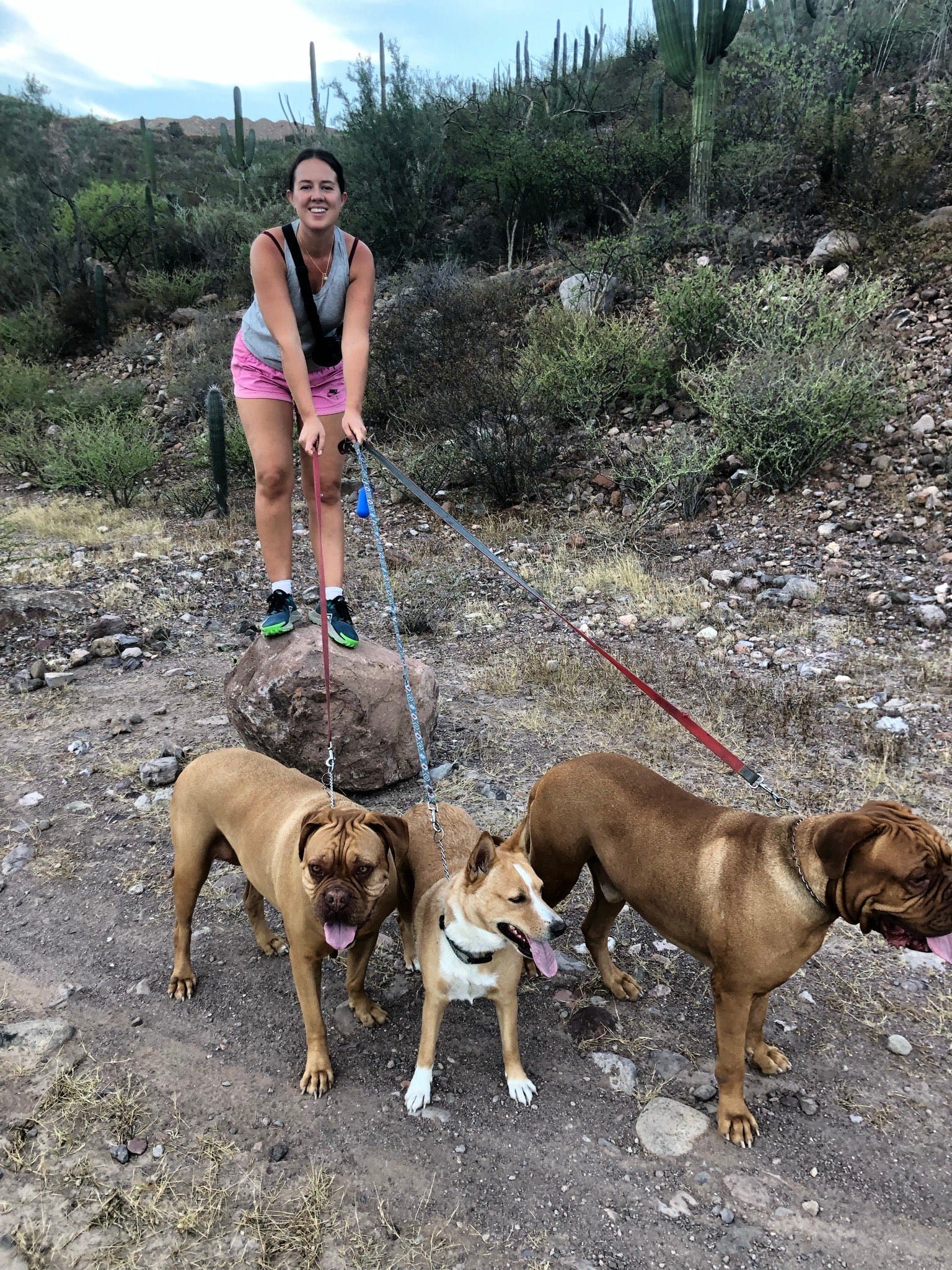 Erin McKee geht mit drei Hunden Gassi