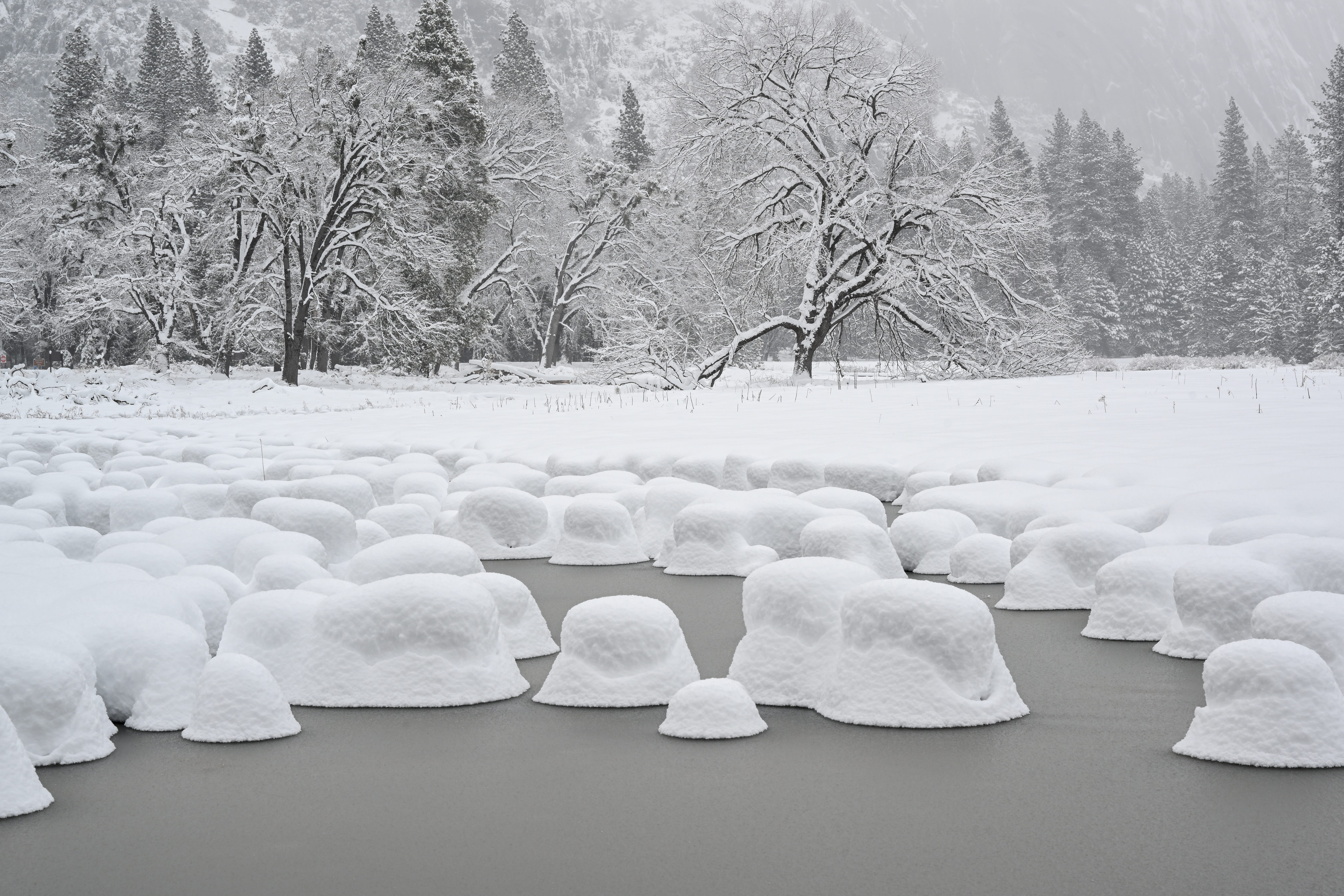 Schnee bedeckt den Yosemite-Nationalpark in Kalifornien, USA, am 23. Februar 2023