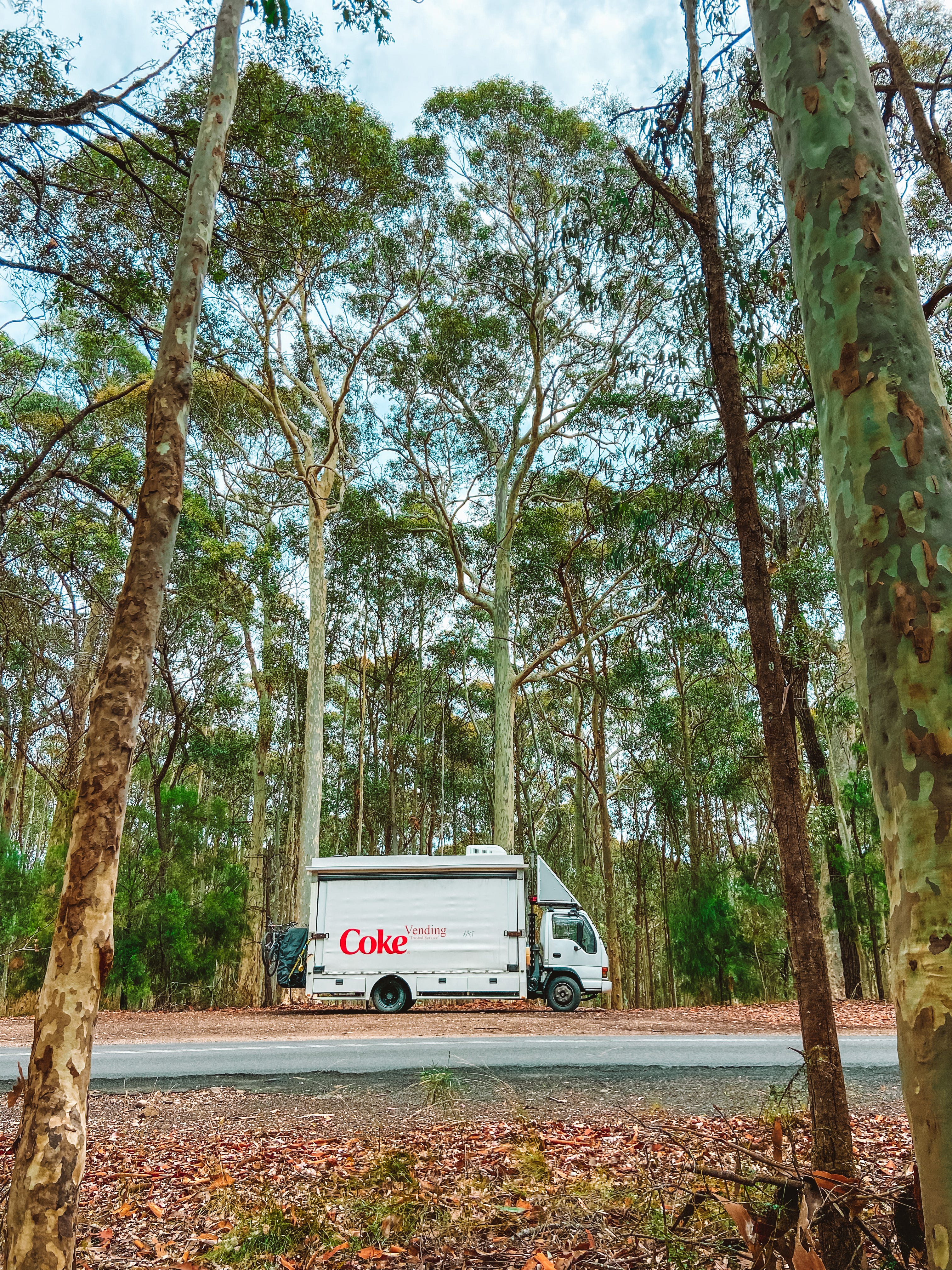 Der Lastwagen aus der Ferne, umgeben von Bäumen