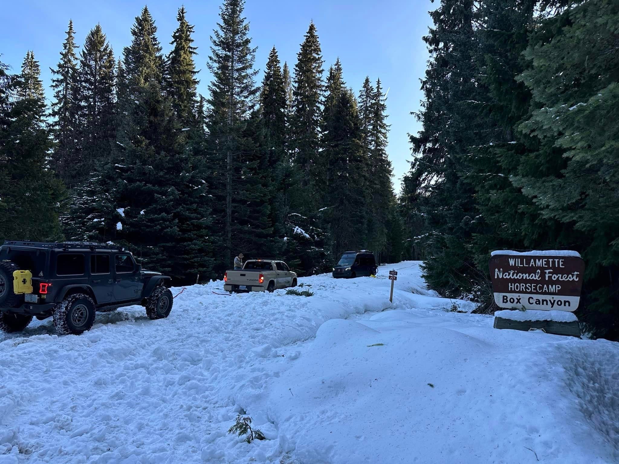 Fahrzeuge stecken auf einer verschneiten Straße, umgeben von Pinien mit einem Schild für den Willamette National Forest.