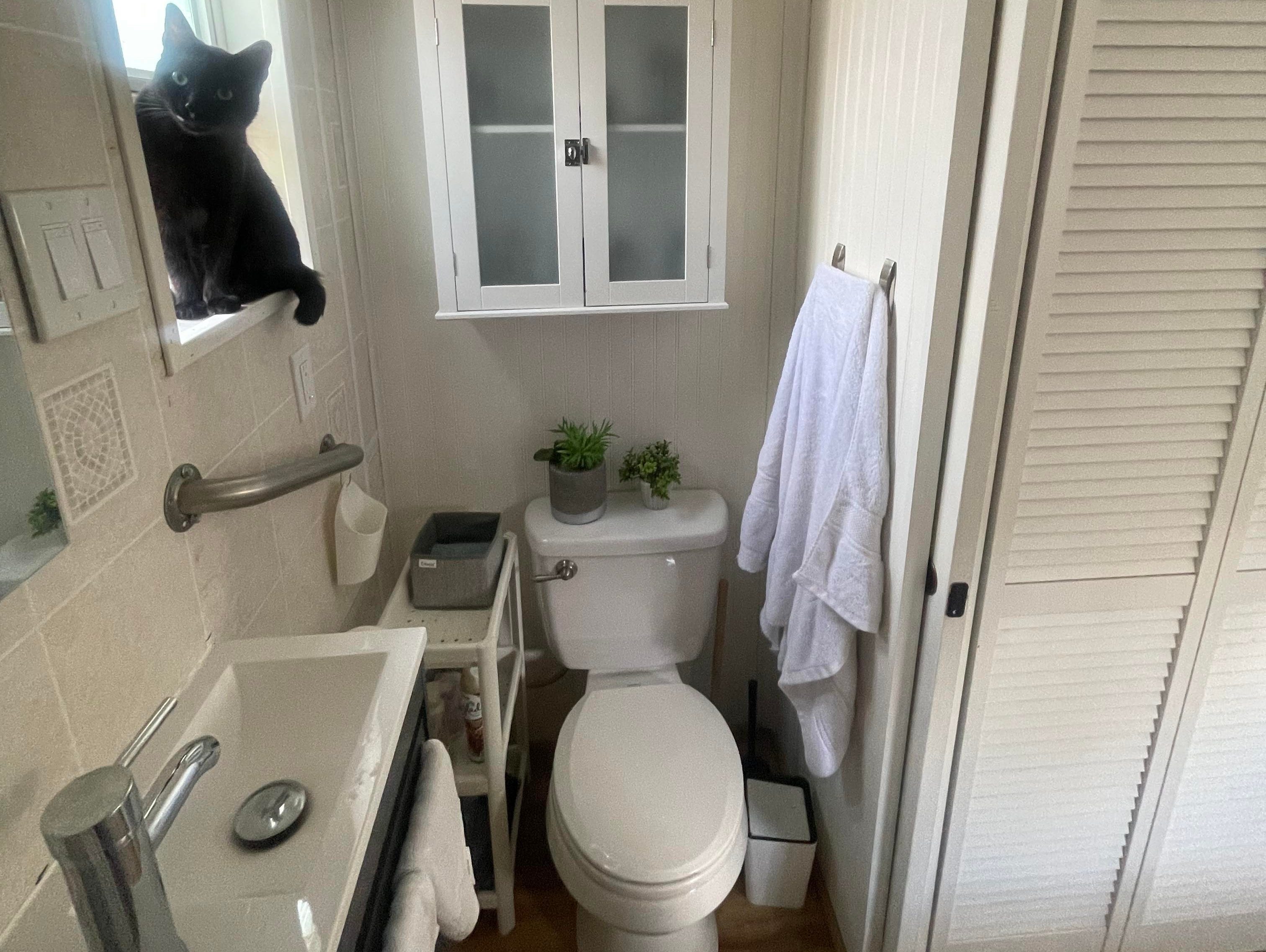 Ein Badezimmer mit weißen Fliesenwänden, einem Hartholzboden und einer schwarzen Katze, die auf der Fensterbank sitzt.