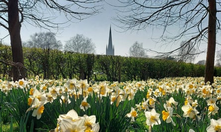 Kathedrale von Norwich vom Wensum-Spaziergang aus.