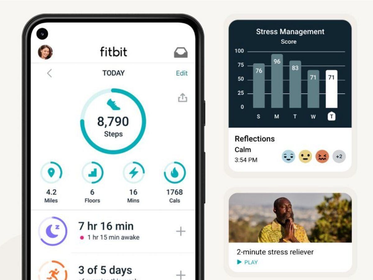 Verschiedene Geräte sammeln je nach Modell und Sensoren unterschiedliche Arten von Daten.  - FitBit hebt die Paywall auf und lässt seine Nutzer Gesundheitsdaten von bis zu 90 Tagen einsehen