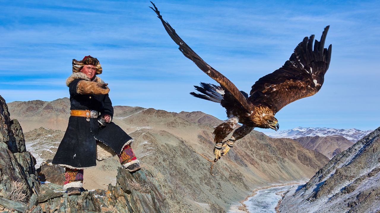 Ein mongolischer Jäger schickt seinen Steinadler, um Beute zu fangen.