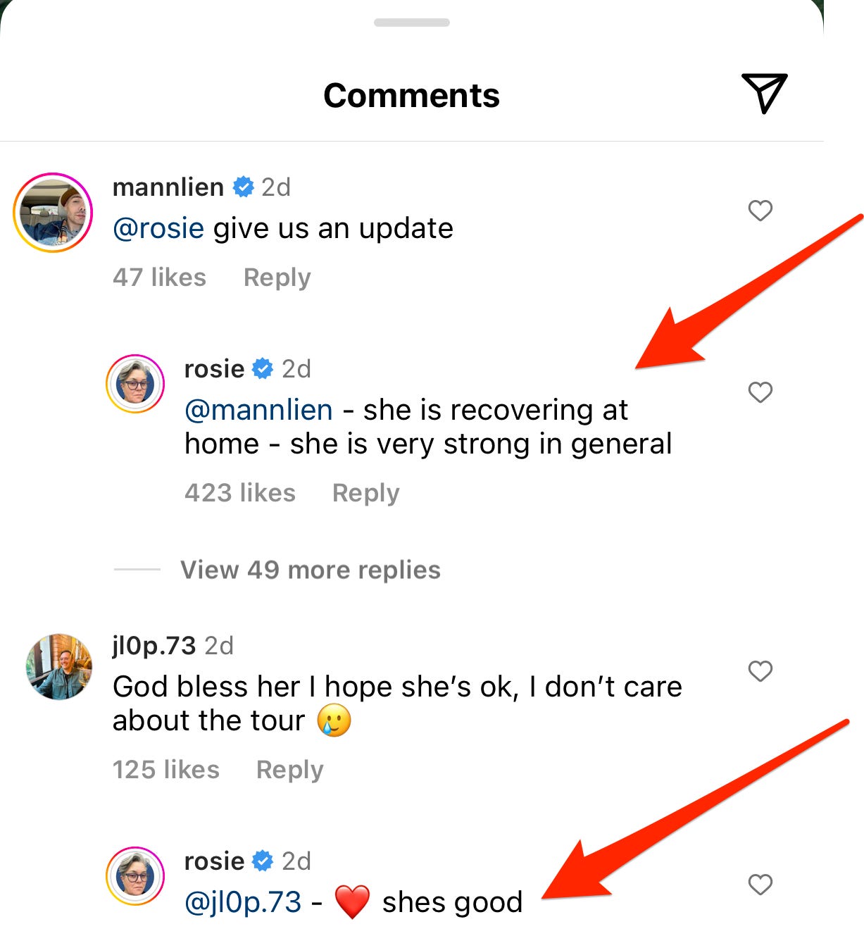 Ein Screenshot der Kommentare, die Fans auf Rosie O'Donnells Instagram hinterlassen haben.