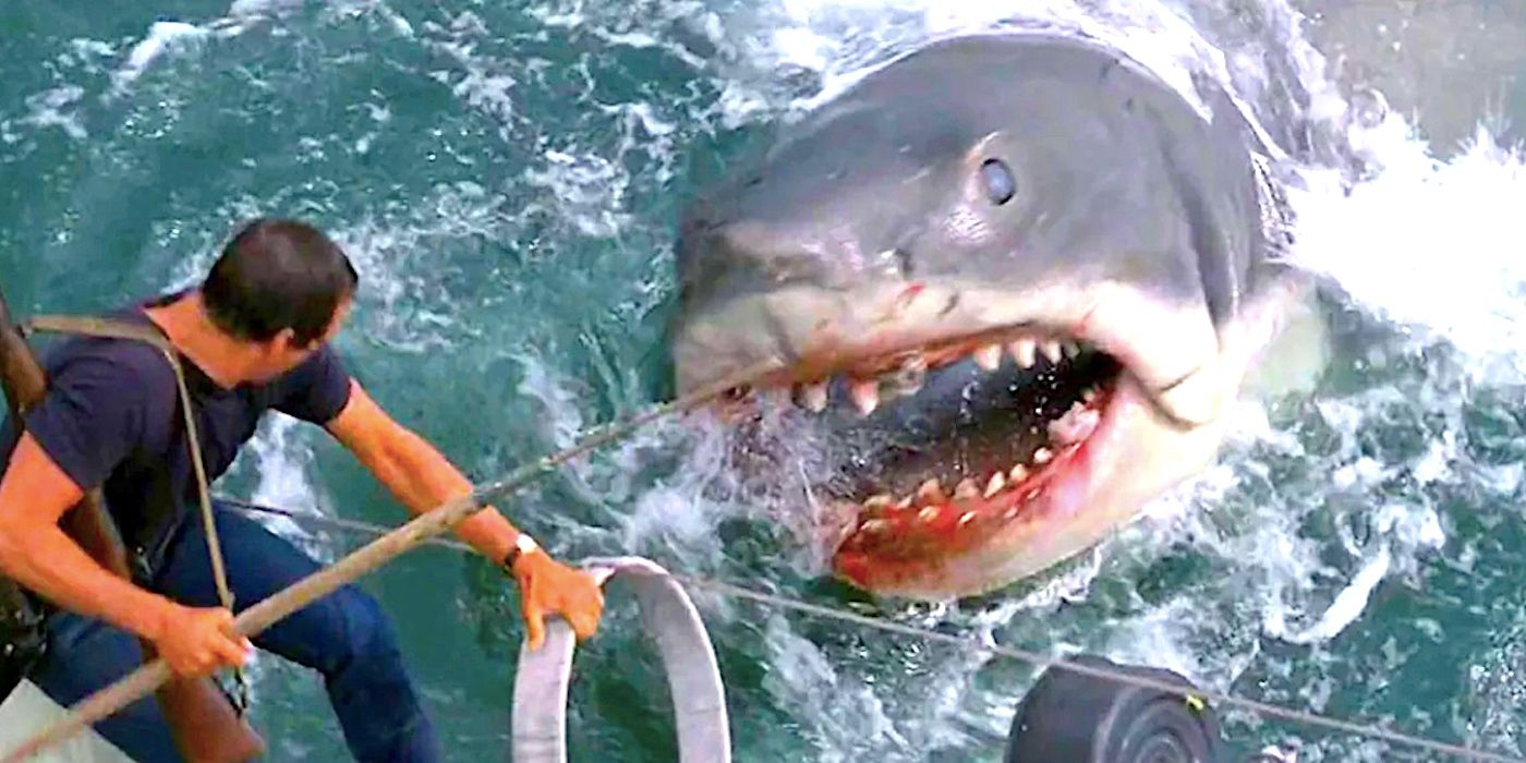 Der Hai greift Brody in „Der Weiße Hai“ 1975 an