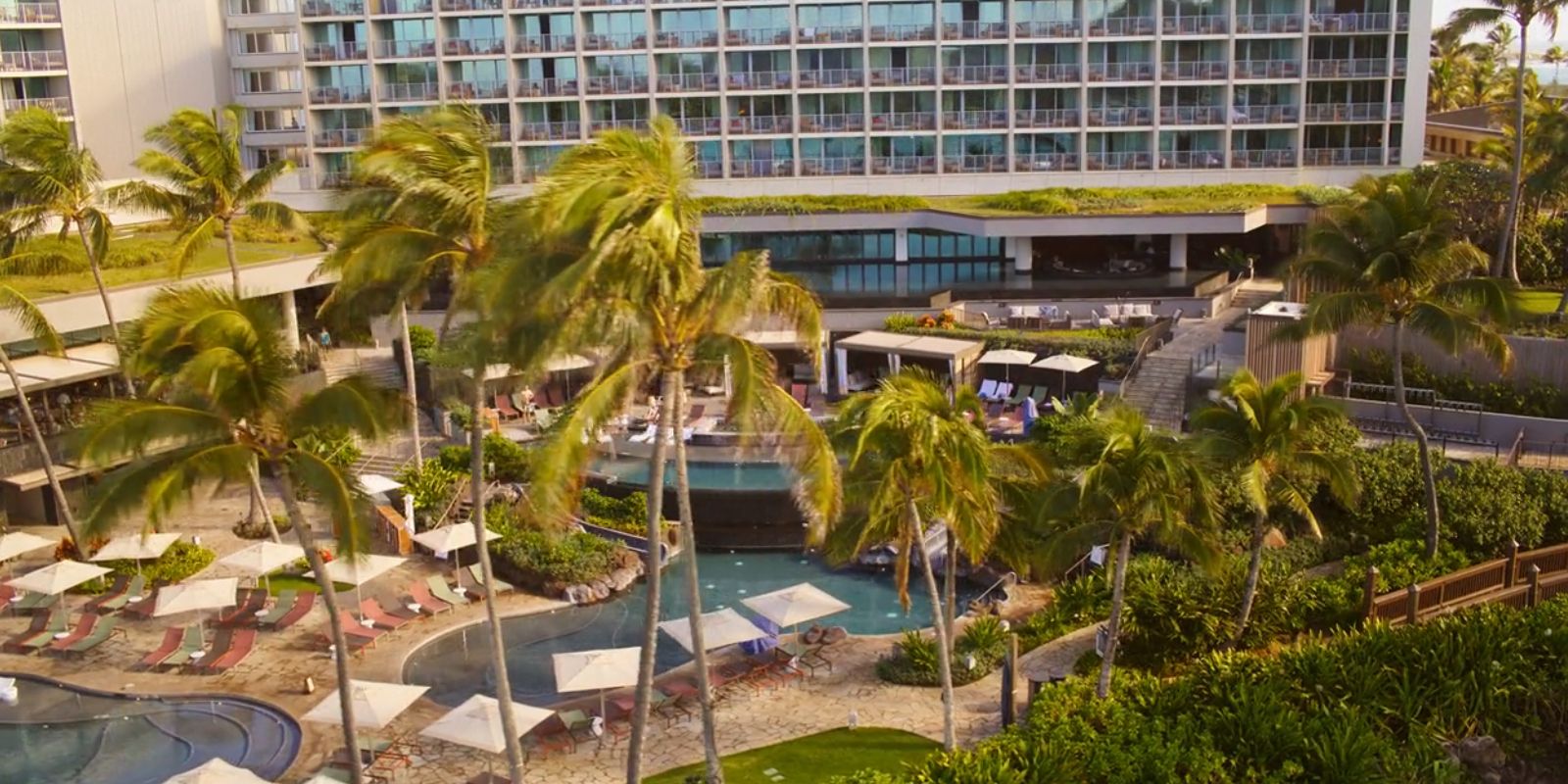 Dieses Bild zeigt Palmen vor einem tropischen Resort.