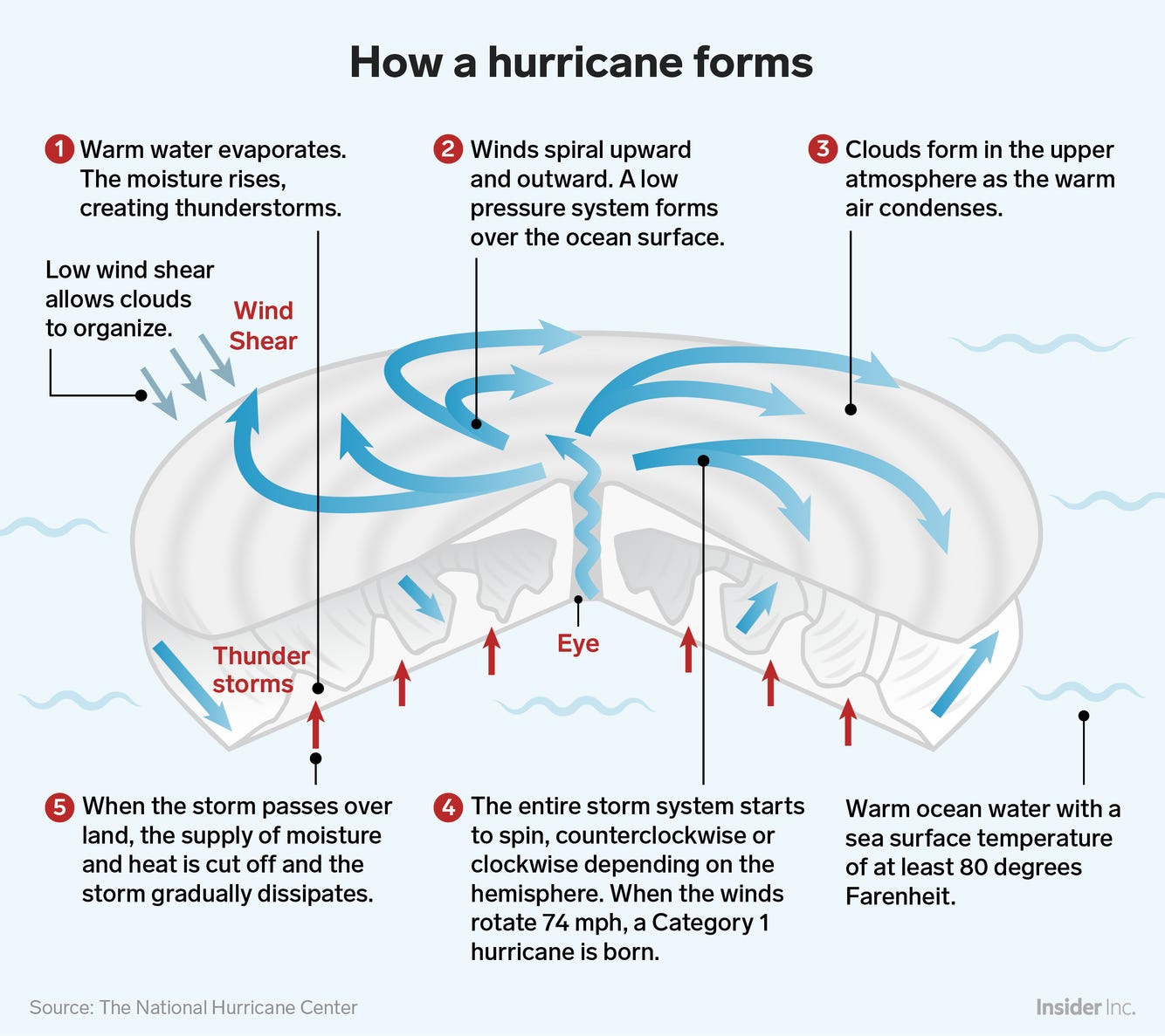 Infografik zur Entstehung eines Hurrikans