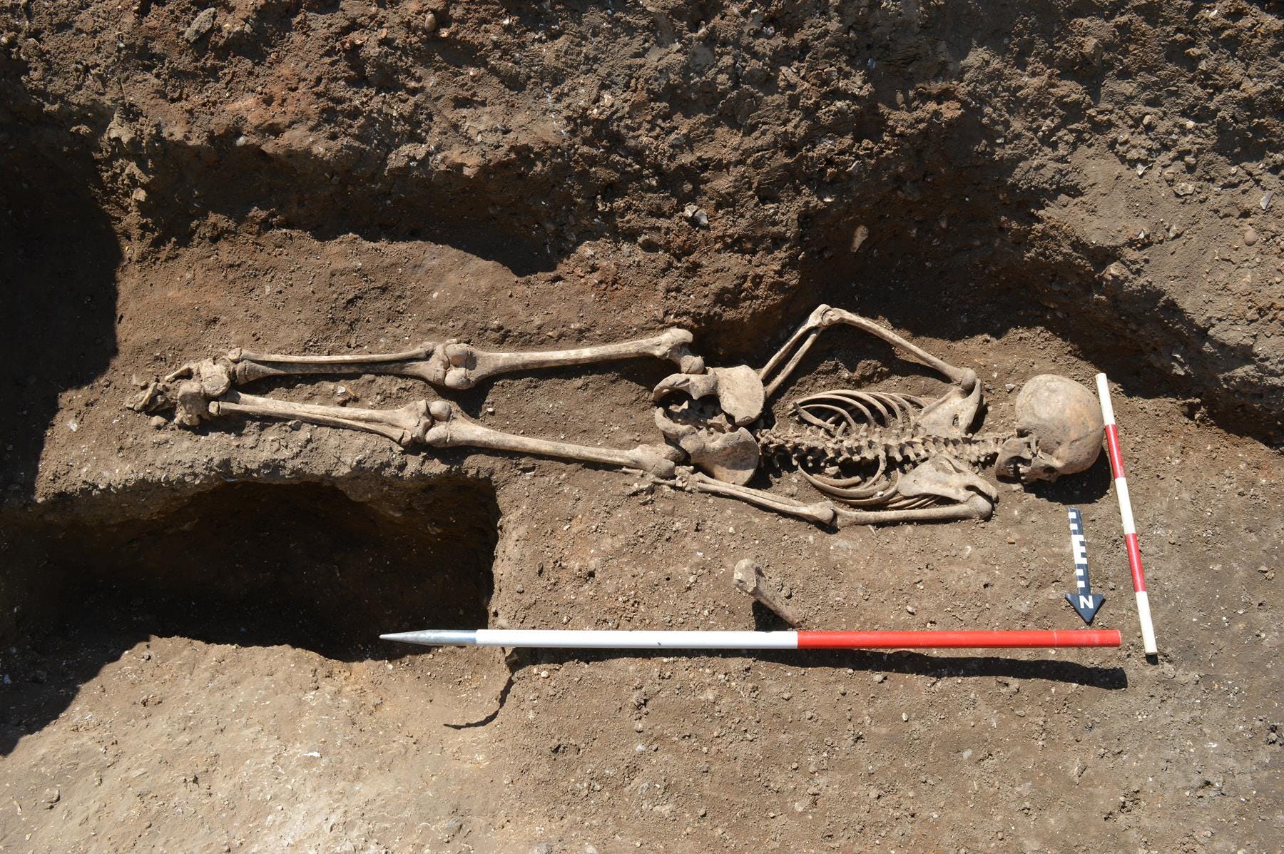 Die Überreste eines mittelalterlichen Mädchens aus dem 9. Jahrhundert wurden verdeckt in England begraben gefunden.