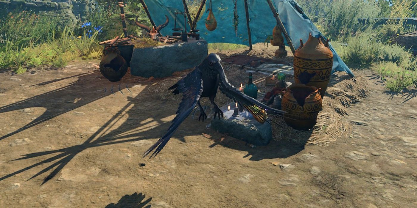Baldur's Gate 3 Dire Raven Wild Shape fliegt im Lager an Ort und Stelle.