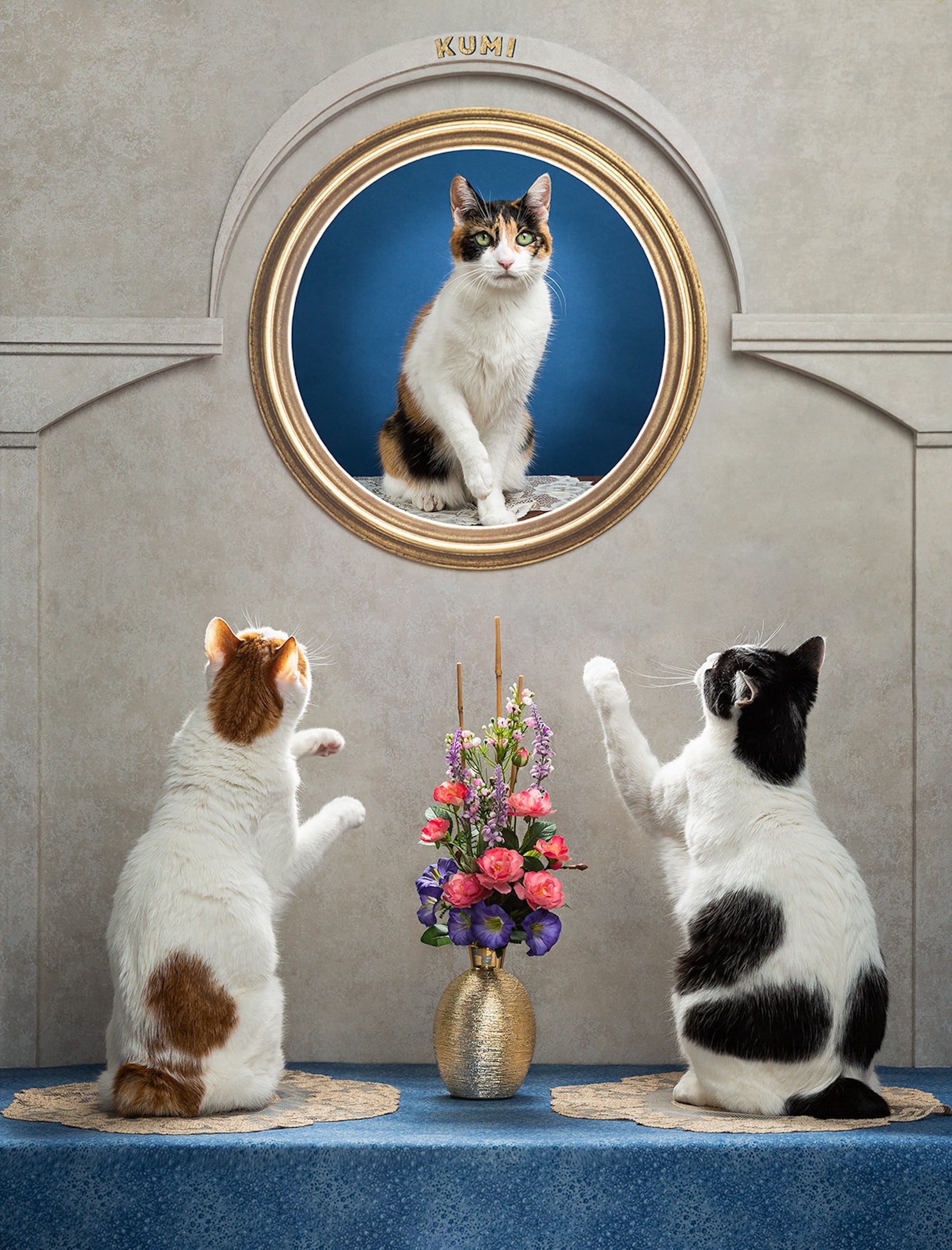 Zwei Katzen schauen auf das Porträt einer Katze und greifen danach.