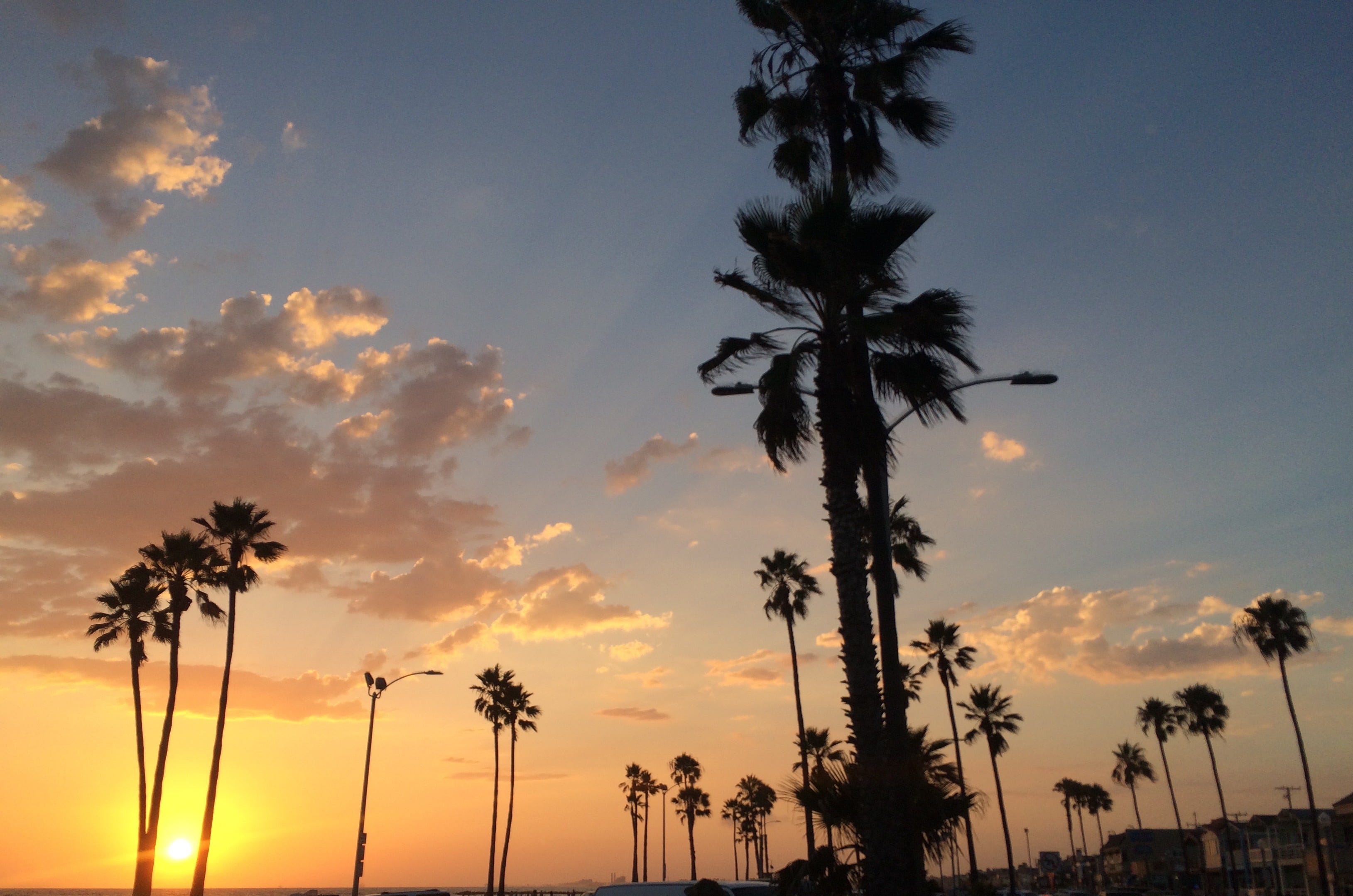 Sonnenuntergang und Palmen.