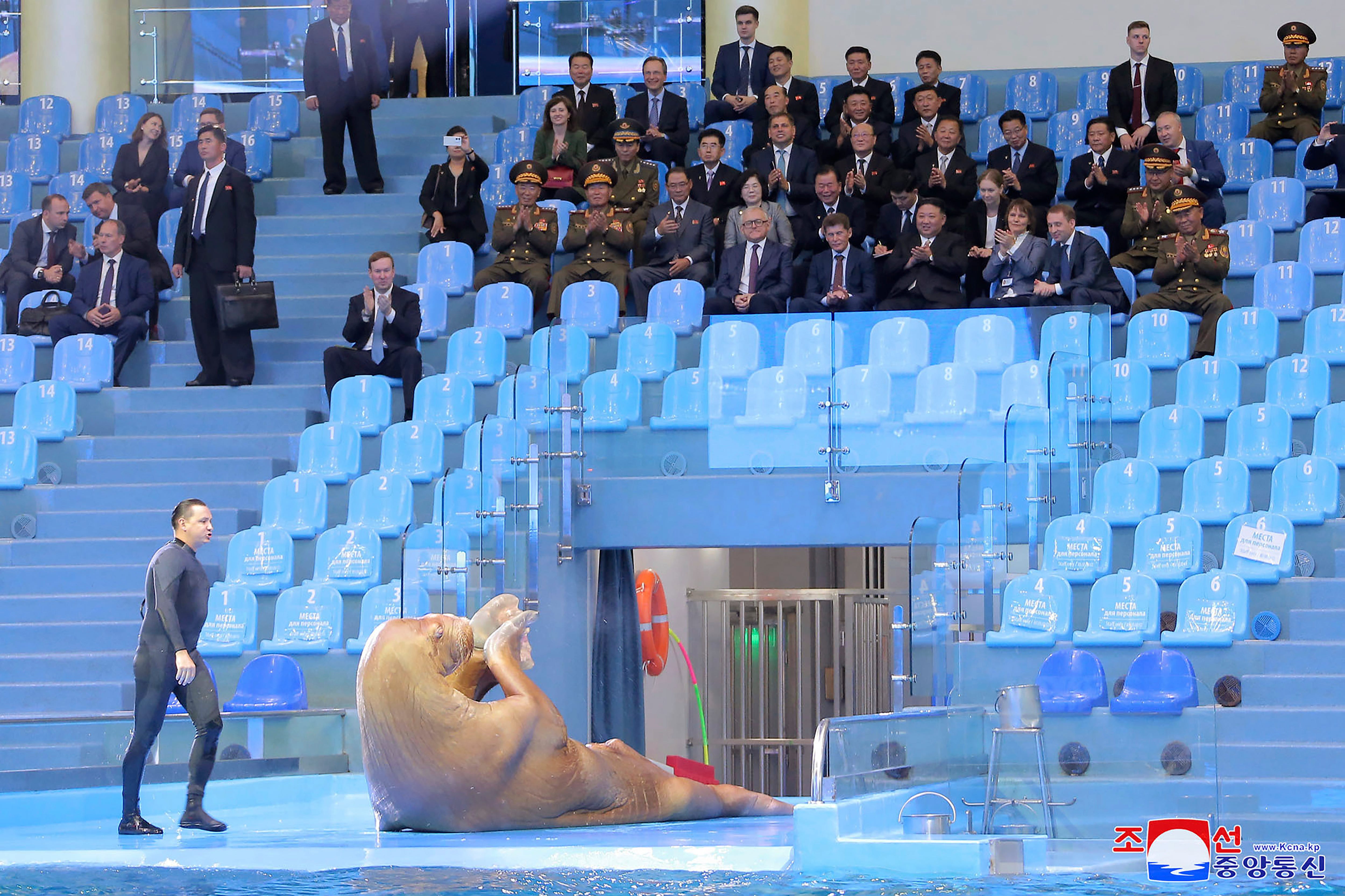 Kim Jong Un (vierter von rechts in der ersten Reihe) beobachtet einen Walross-Auftritt im Primorsky Aquarium in Wladiwostok, Russland.