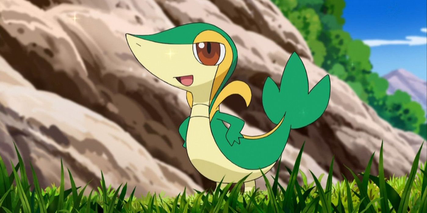 Snivy läuft im Pokémon-Anime über Gras