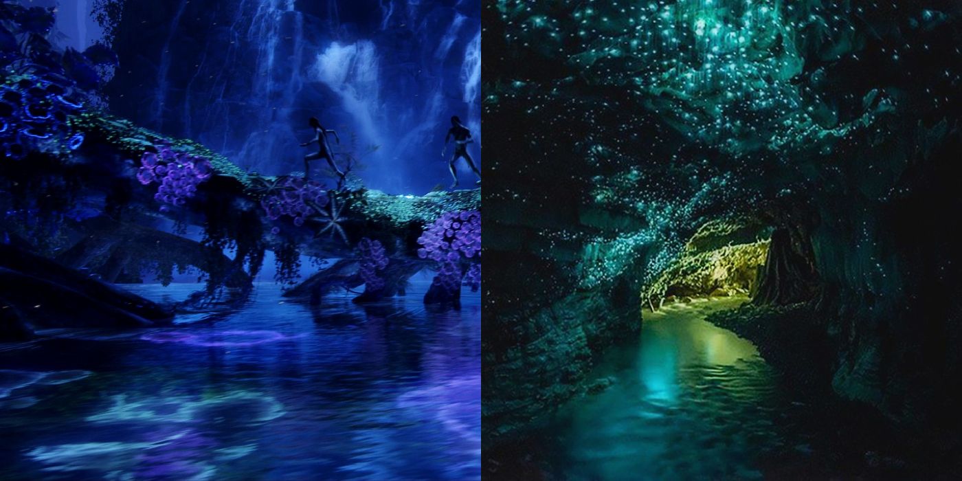 Avatar- und Waitomo-Glühwürmchenhöhle