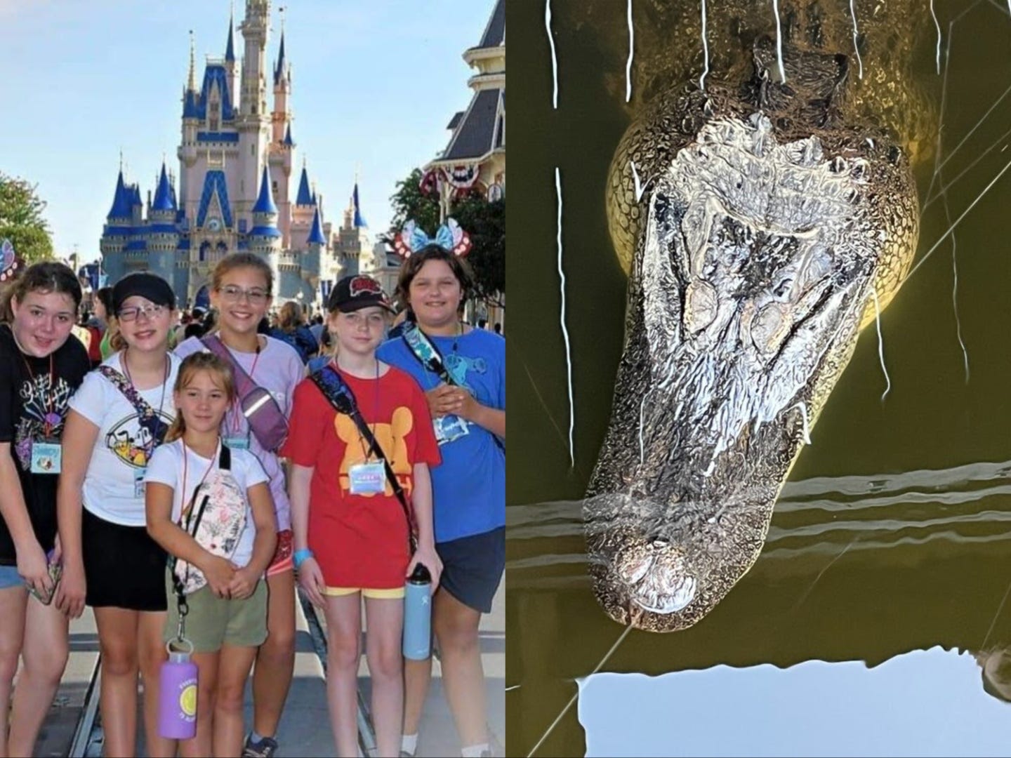 Pfadfinderinnen im Disneyland;  Alligator

