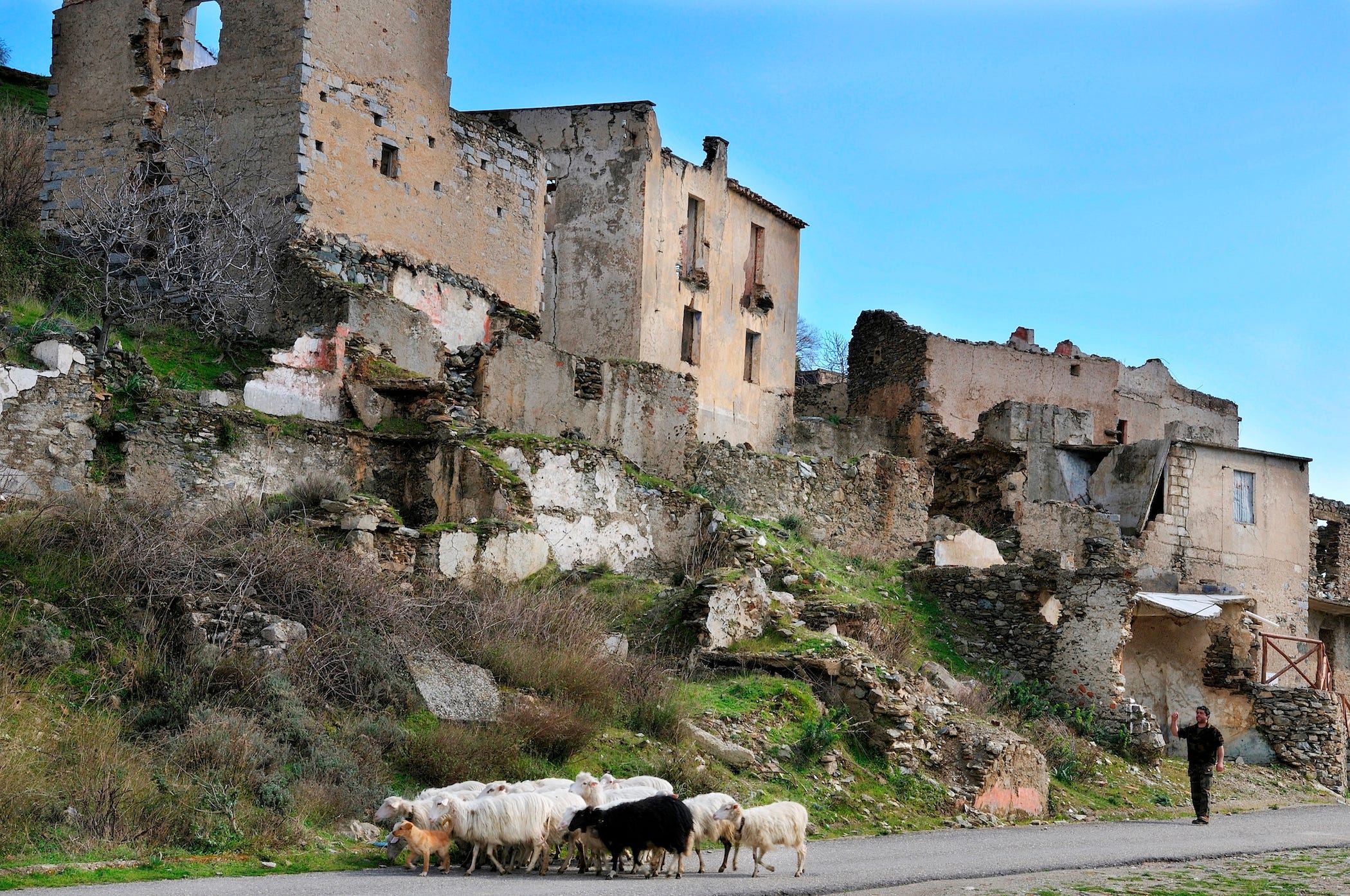 Ein Mann geht mit seinen Schafen in einer verlassenen Stadt auf Sardinien spazieren.