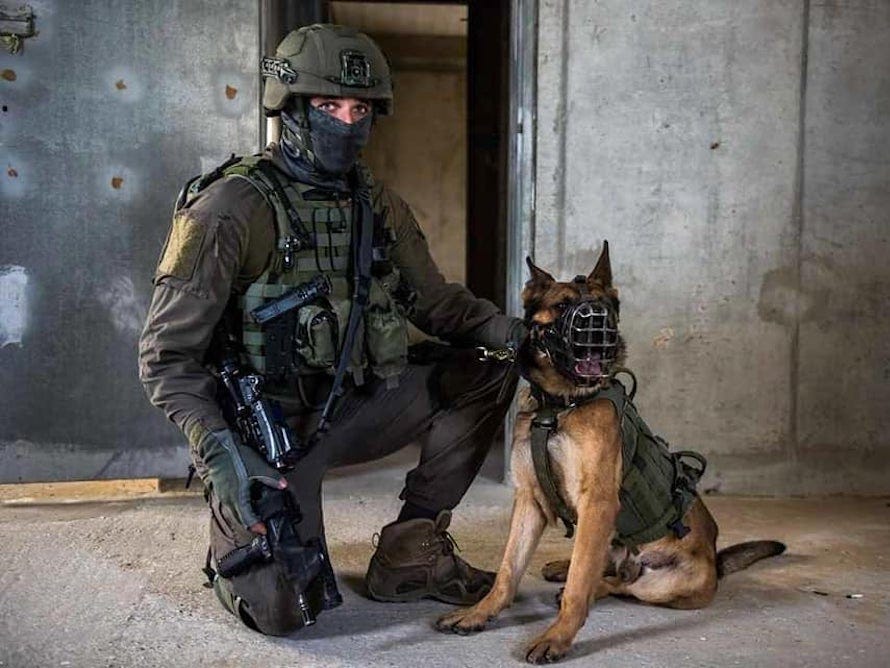 Soldat und Hund des Oketz („Sting“ auf Hebräisch) der IDF ist die Hundeeinheit der IDF.