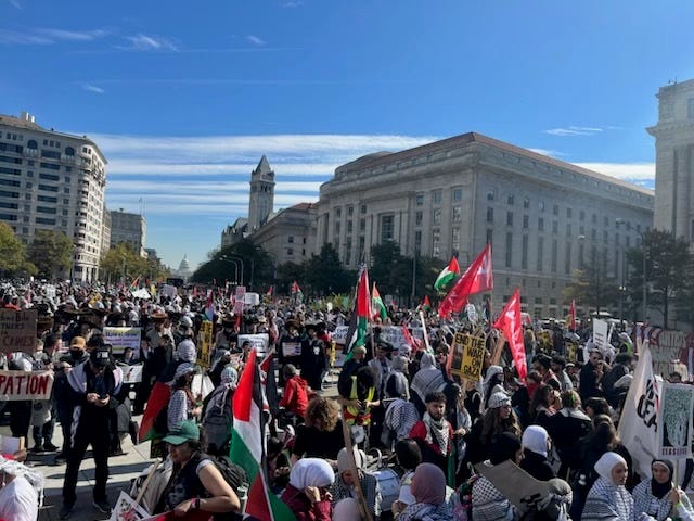 Tausende pro-palästinensische Demonstranten marschieren in Washington DC und fordern einen Waffenstillstand in Gaza.