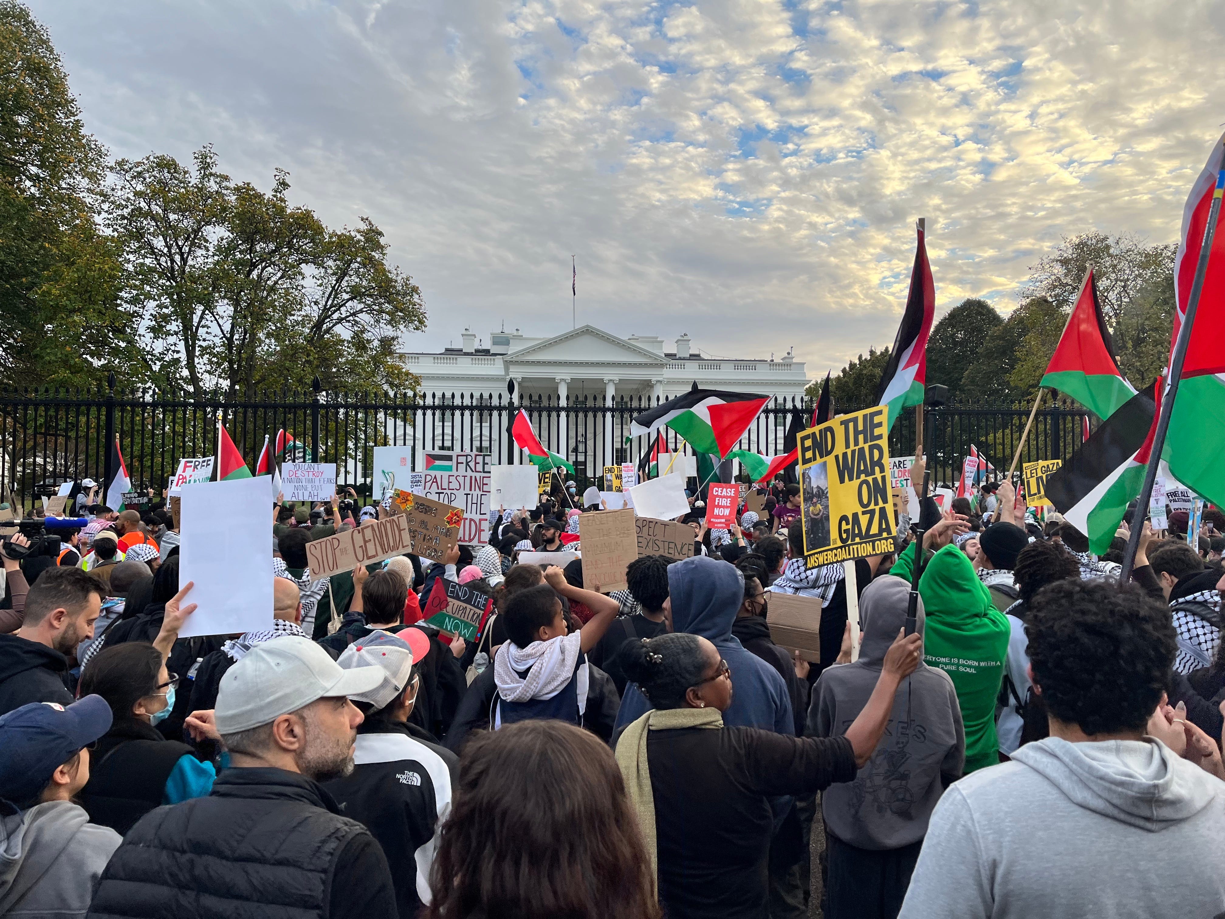 Pro-palästinensische Demonstranten schwenken Fahnen und Schilder vor dem Weißen Haus in Washington, D.C.