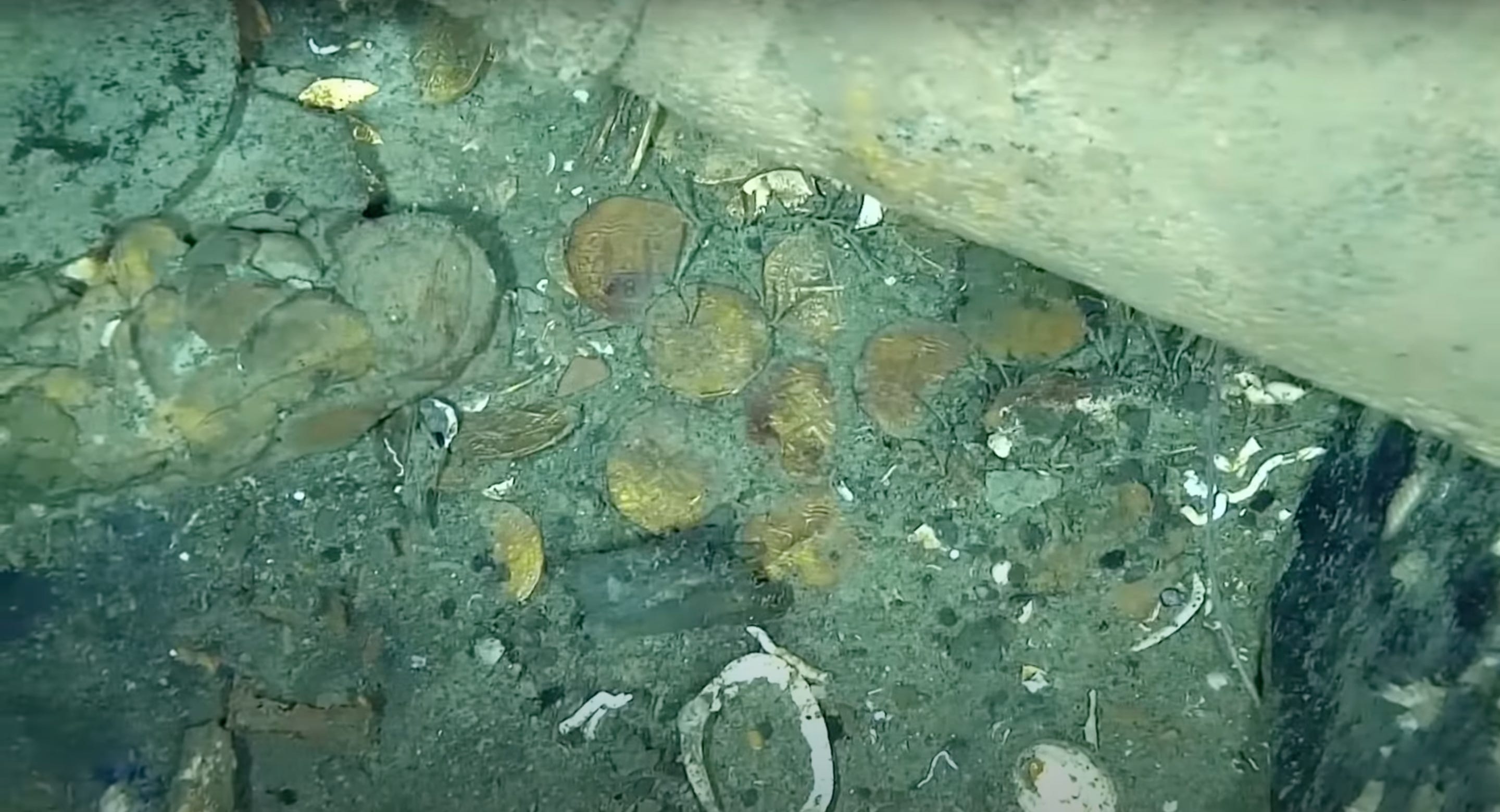 Goldmünzen im Schiffswrack von San Jose gefunden.